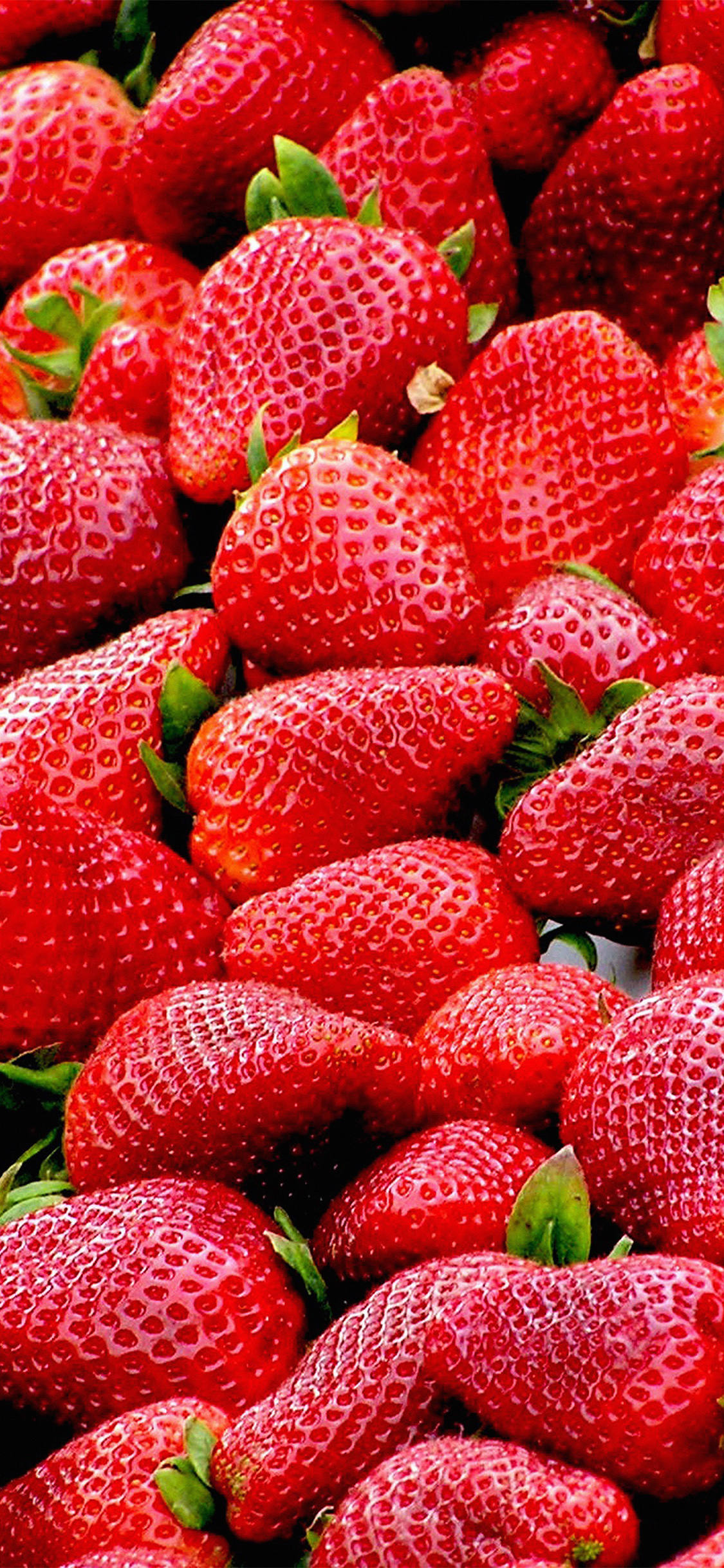 iPhone X wallpaper. red strawberry fruit