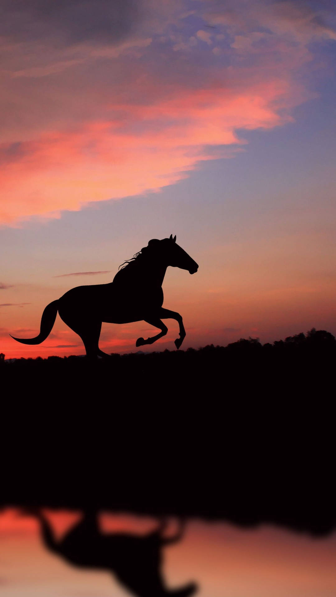 Download Cute Horse Running By The River Wallpaper