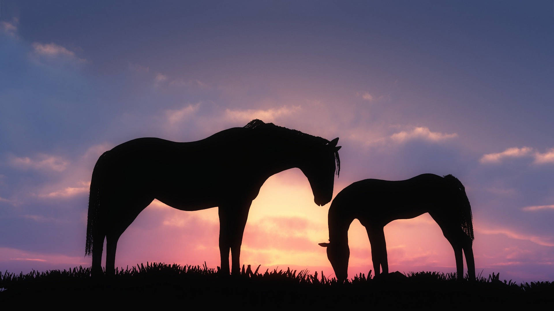 Download Cute Horse Silhouette By