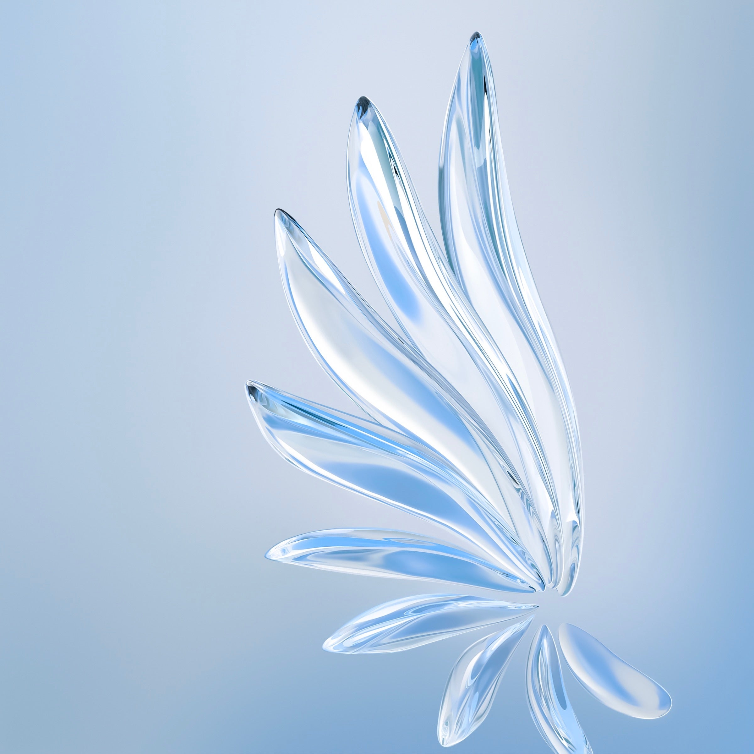 Download HONOR 70 Series Wallpaper