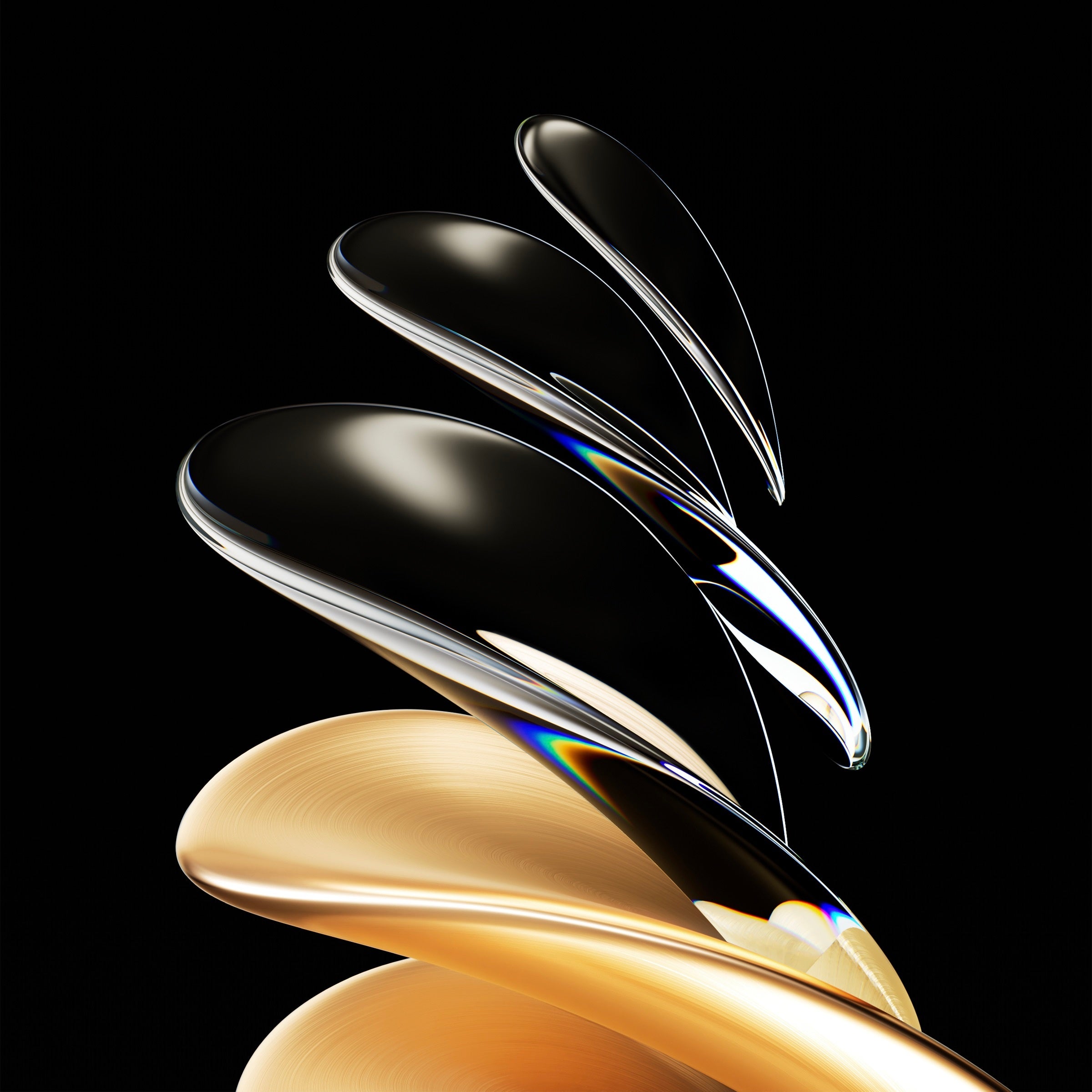 Download HONOR 70 Series Wallpaper