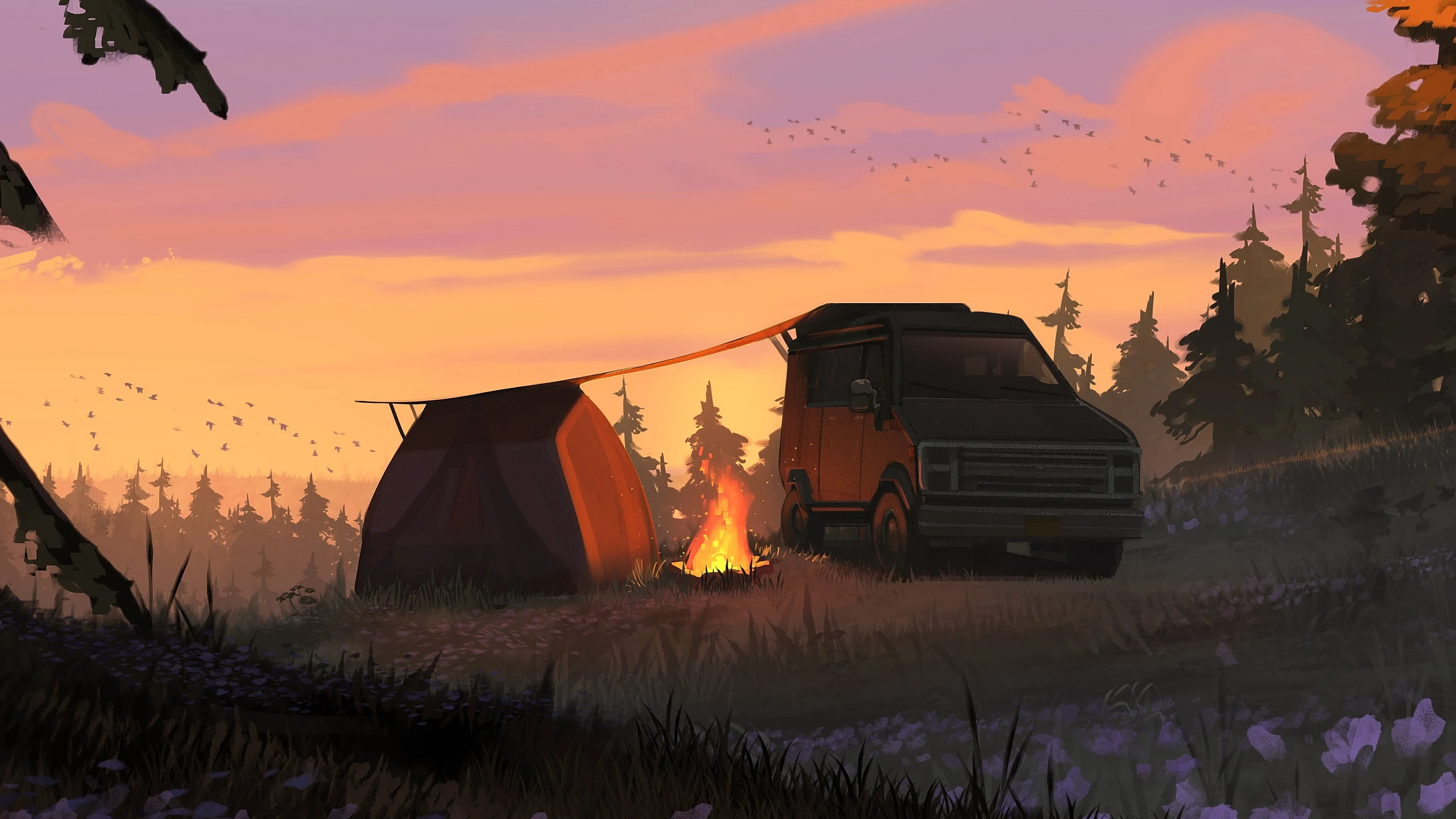 Camping [2560 x 1440]