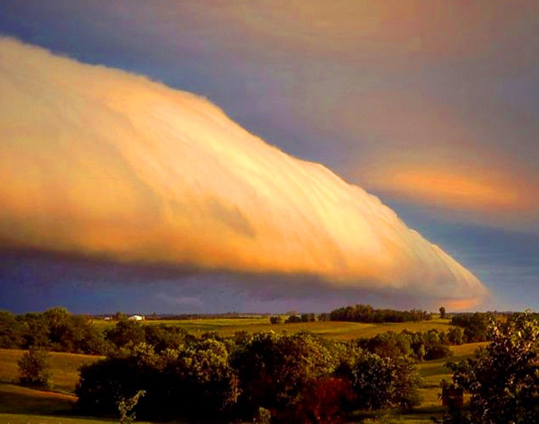 Image detail for -Morning Glory Clouds - Northern Australia. Clouds, Sky and clouds, Roll cloud