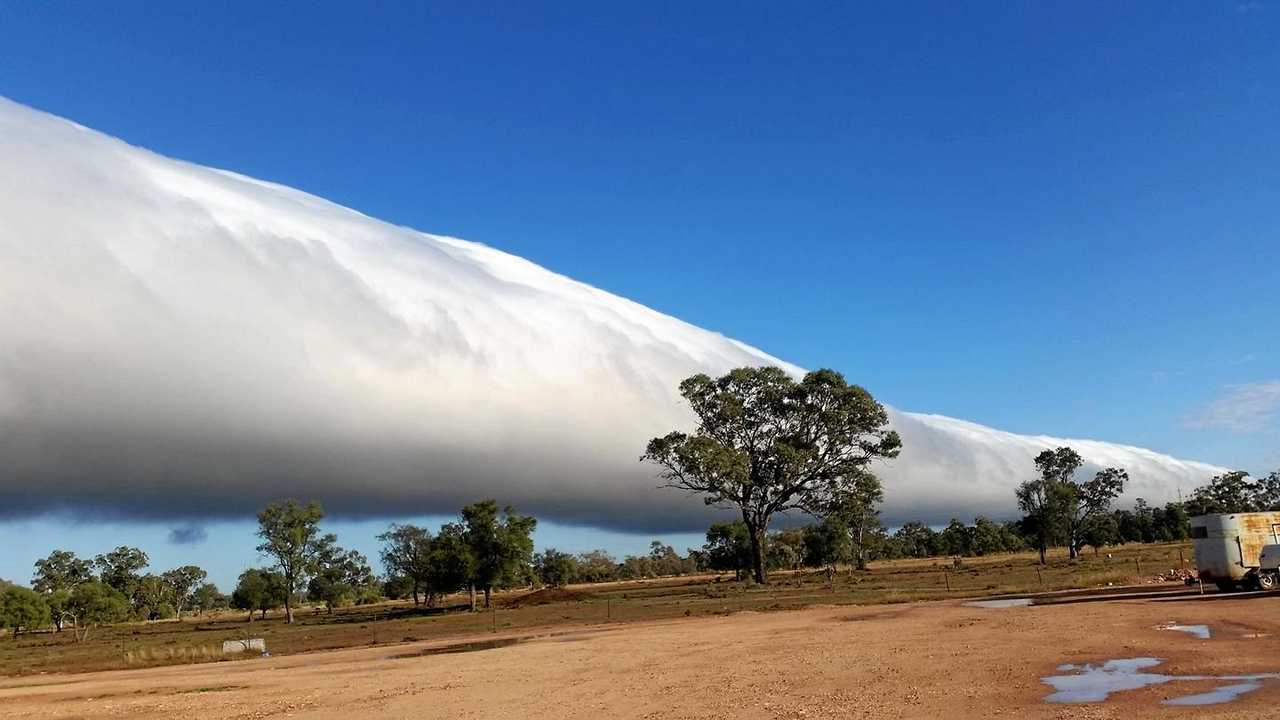 Morning glory clouds go viral as world looks to our skies. The Courier Mail
