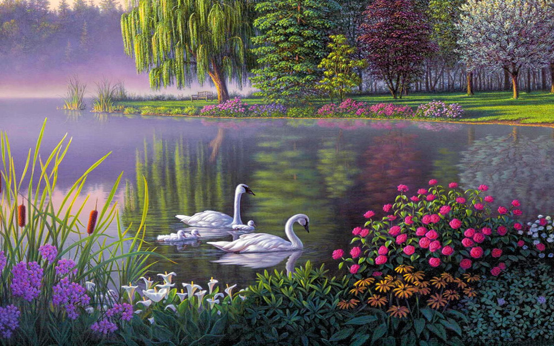 Swan Lake Wallpaper Free Swan Lake Background