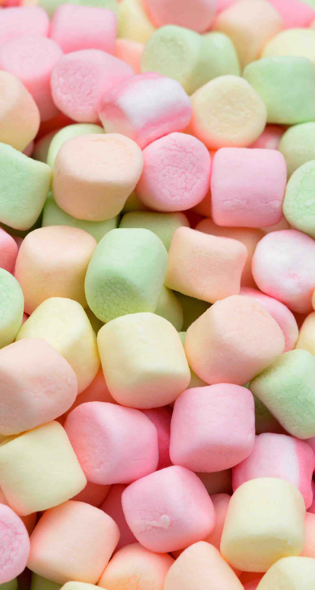 Cute Marshmallow colored sweet soft marshmallow HD phone wallpaper   Peakpx