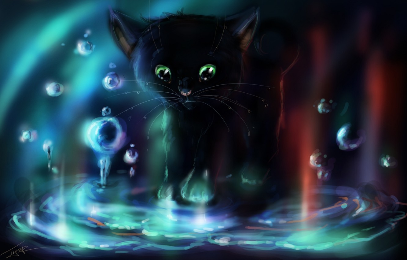 Wallpaper water, bubbles, Kitty image for desktop, section кошки