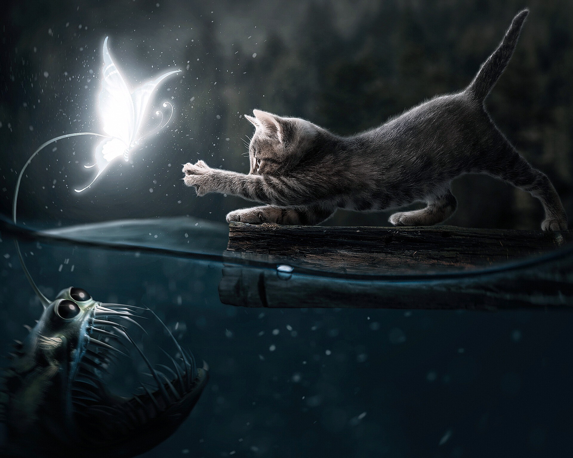 Fantasy Cat HD, Creature, Creepy, Water, Butterfly Gallery HD Wallpaper