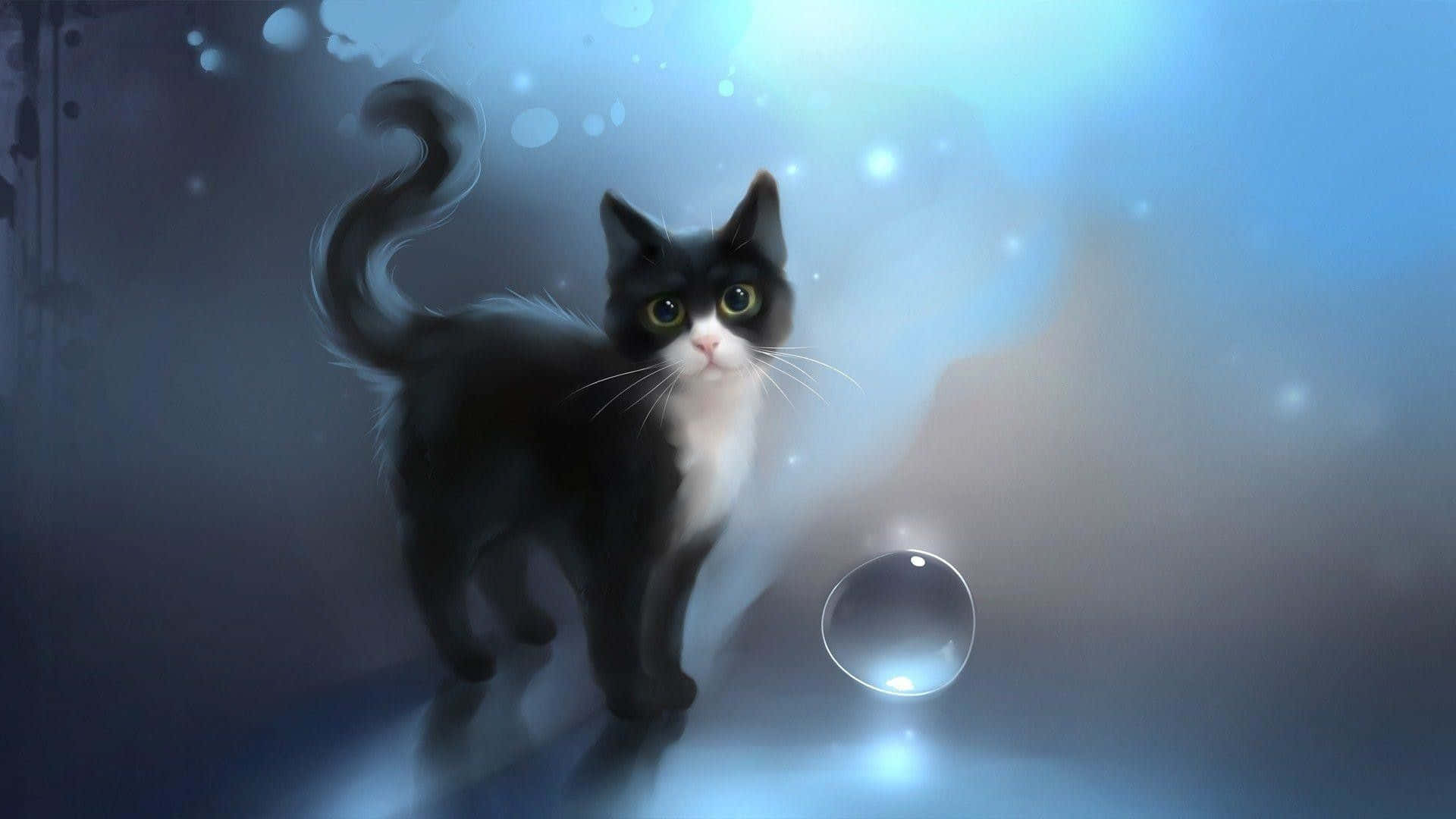 Download A Black And White Cat Standing Next To A Ball Of Water Wallpaper