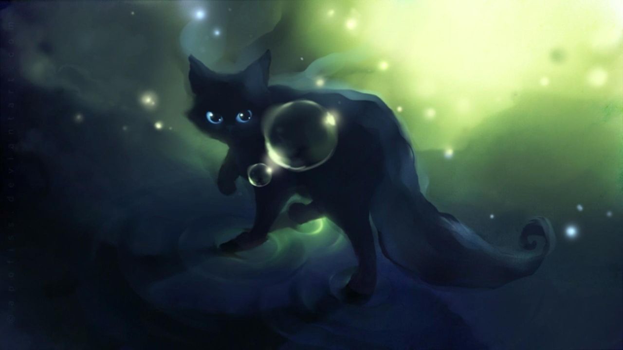 Water Cat Wallpapers Wallpaper Cave