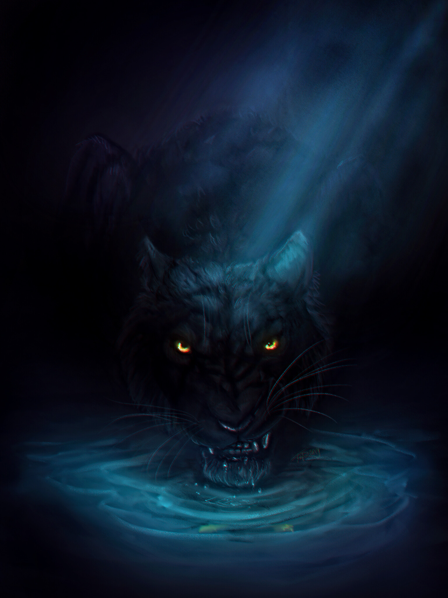 Wallpaper Black Cat in Water With Blue Lights, Background Free Image
