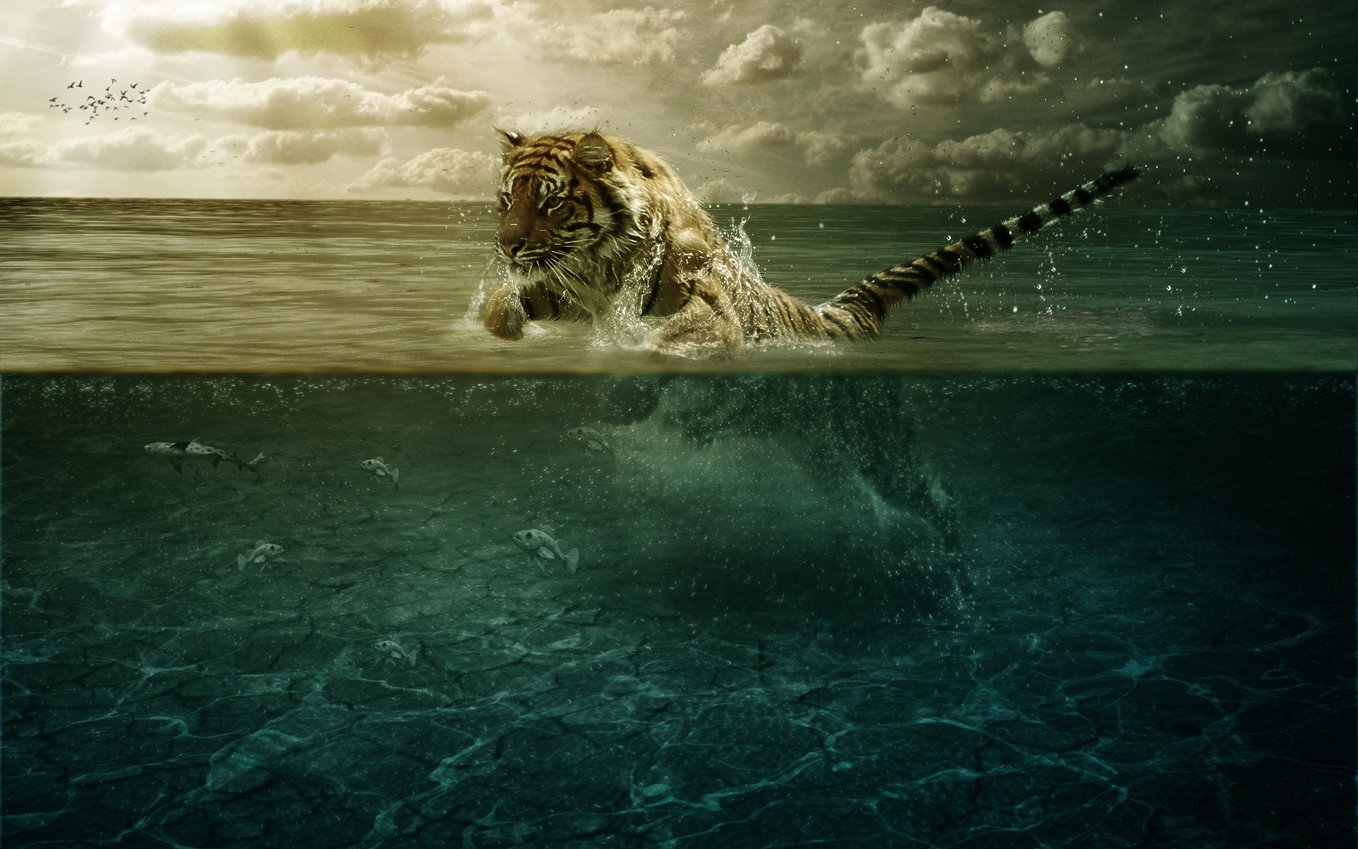 anime, Fish, Digital Art, Jumping, Split View, Sea, Tiger, Animals, Atmosphere, Cat, Big Cats, Water Wallpaper HD / Desktop and Mobile Background