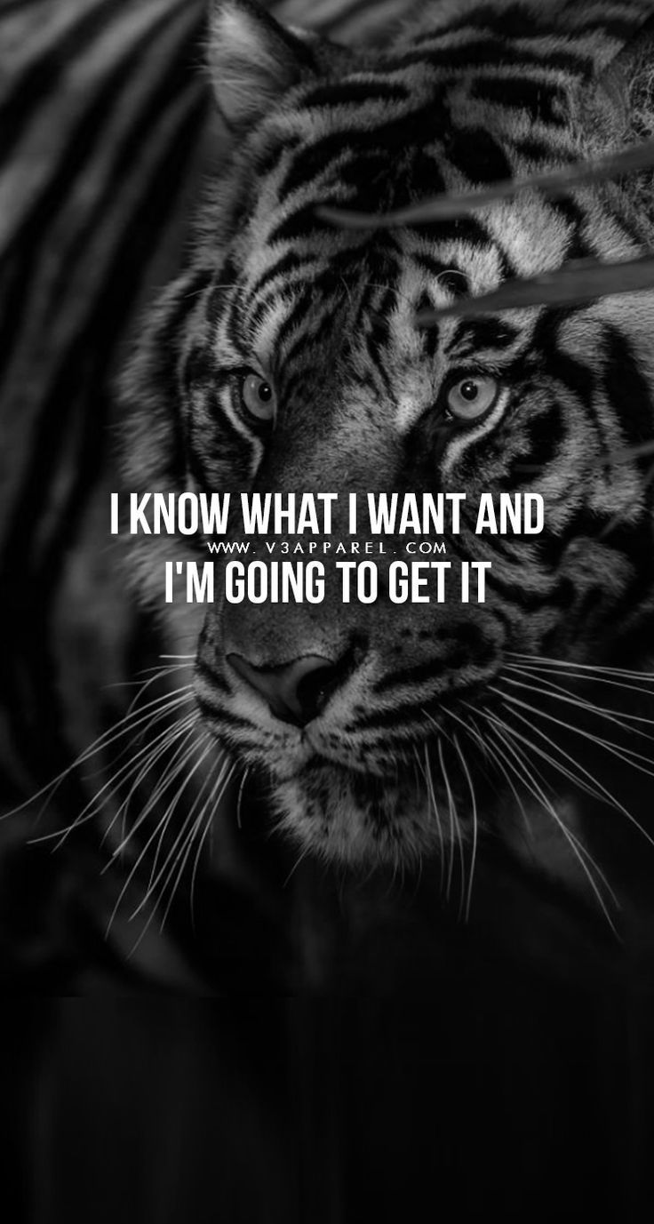 Download this FREE wallpaper /MadeToMotivate and many more fo. Warrior quotes, Motivational quotes for working out, Motivational quotes