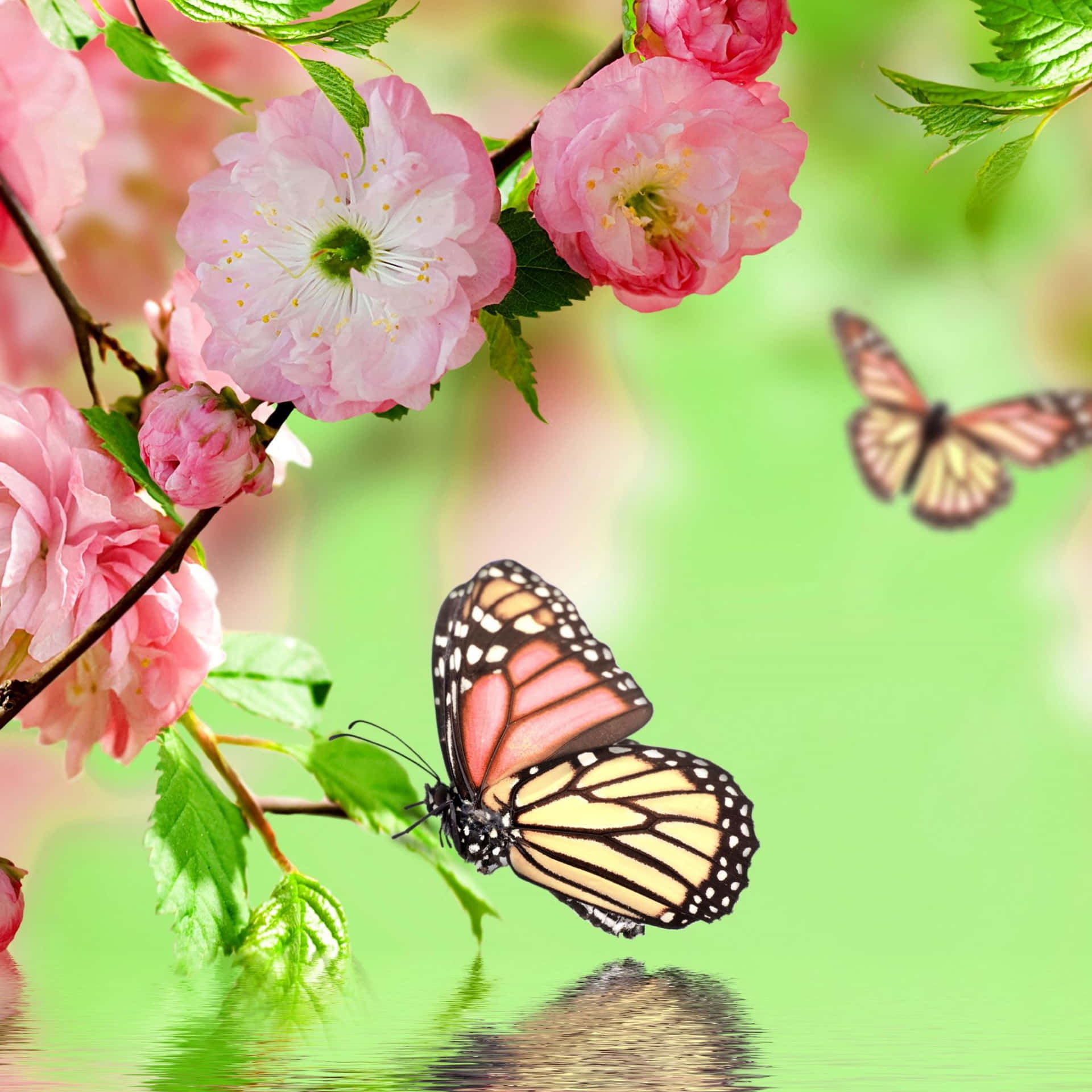 Free Spring iPad Wallpaper Downloads, Spring iPad Wallpaper for FREE