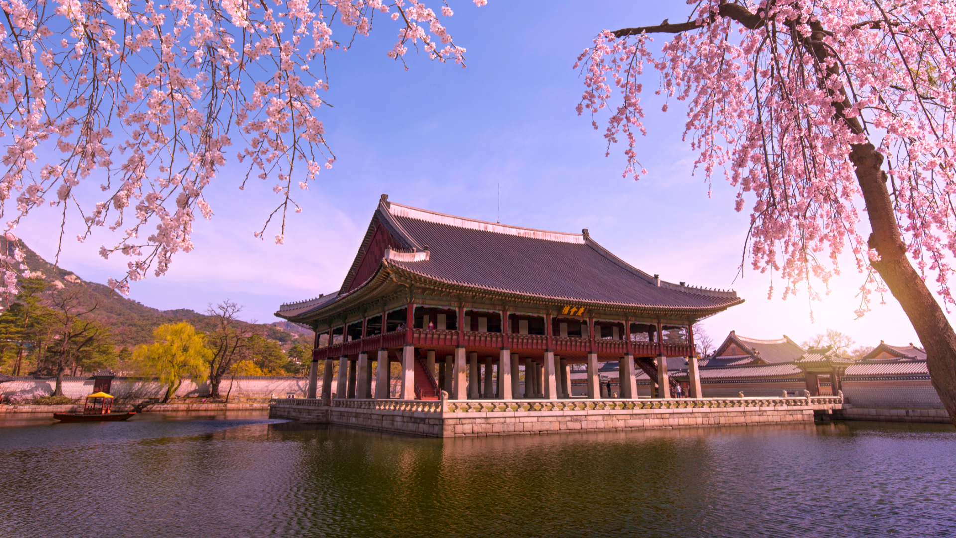 Korea's beautiful Cherry Blossom Season 2023