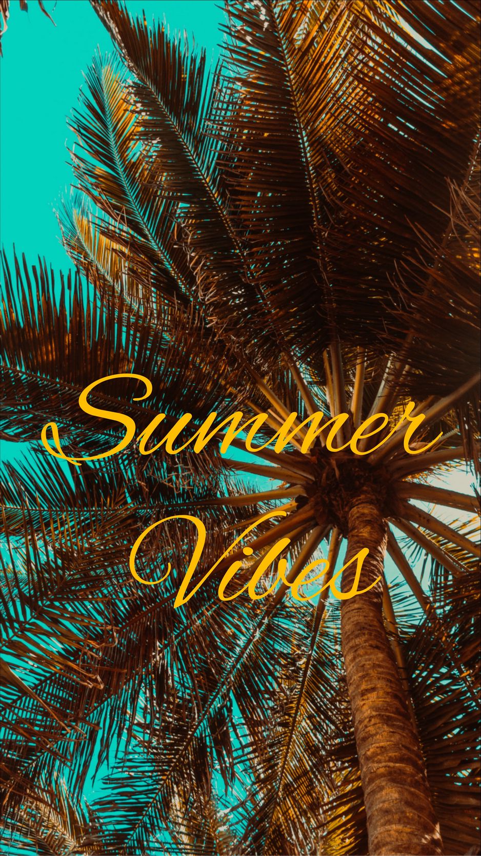 Download Wallpaper 938x1668 Summer, Vibes, Palm, Mood Iphone 8 7 6s 6 For Parallax HD Background