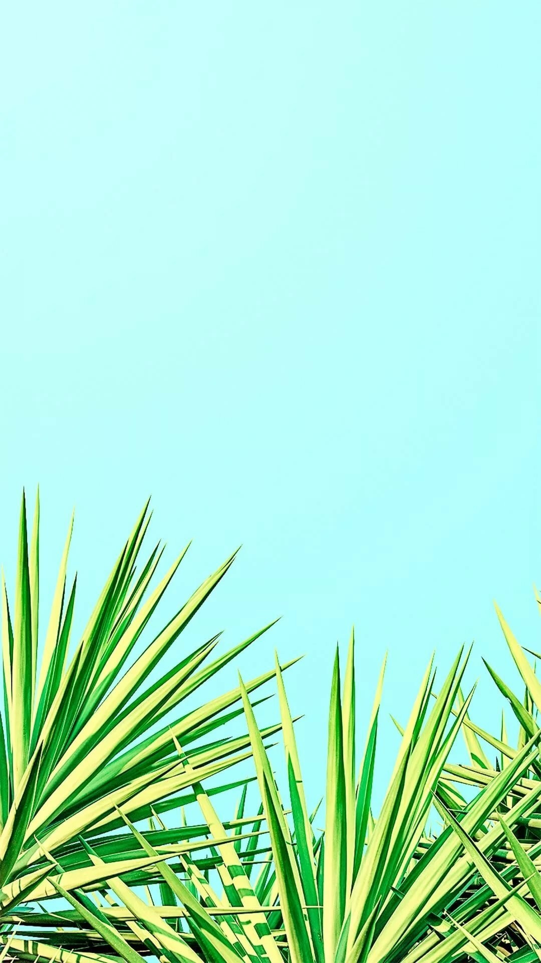 Summer iPhone Wallpaper