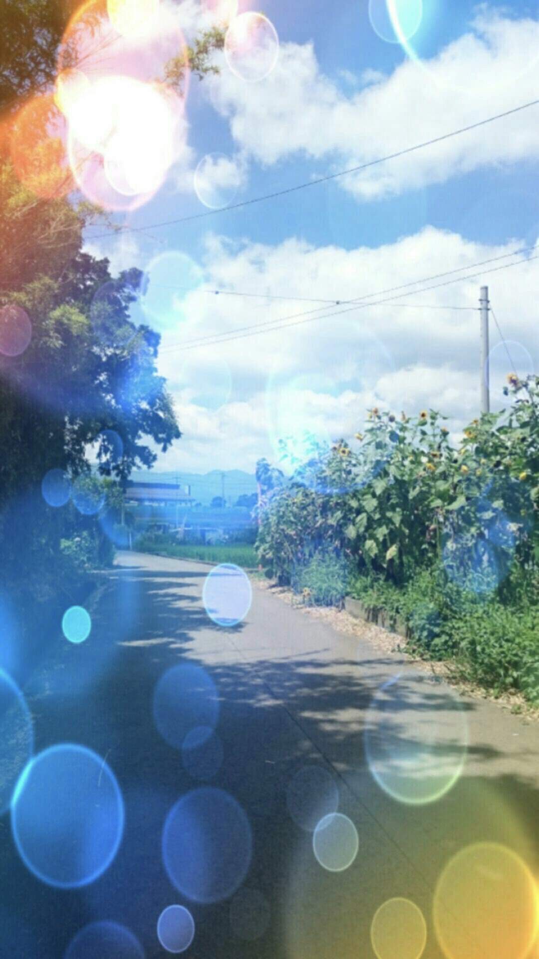 Summer Path. wallpaper.sc iPhone8Plus