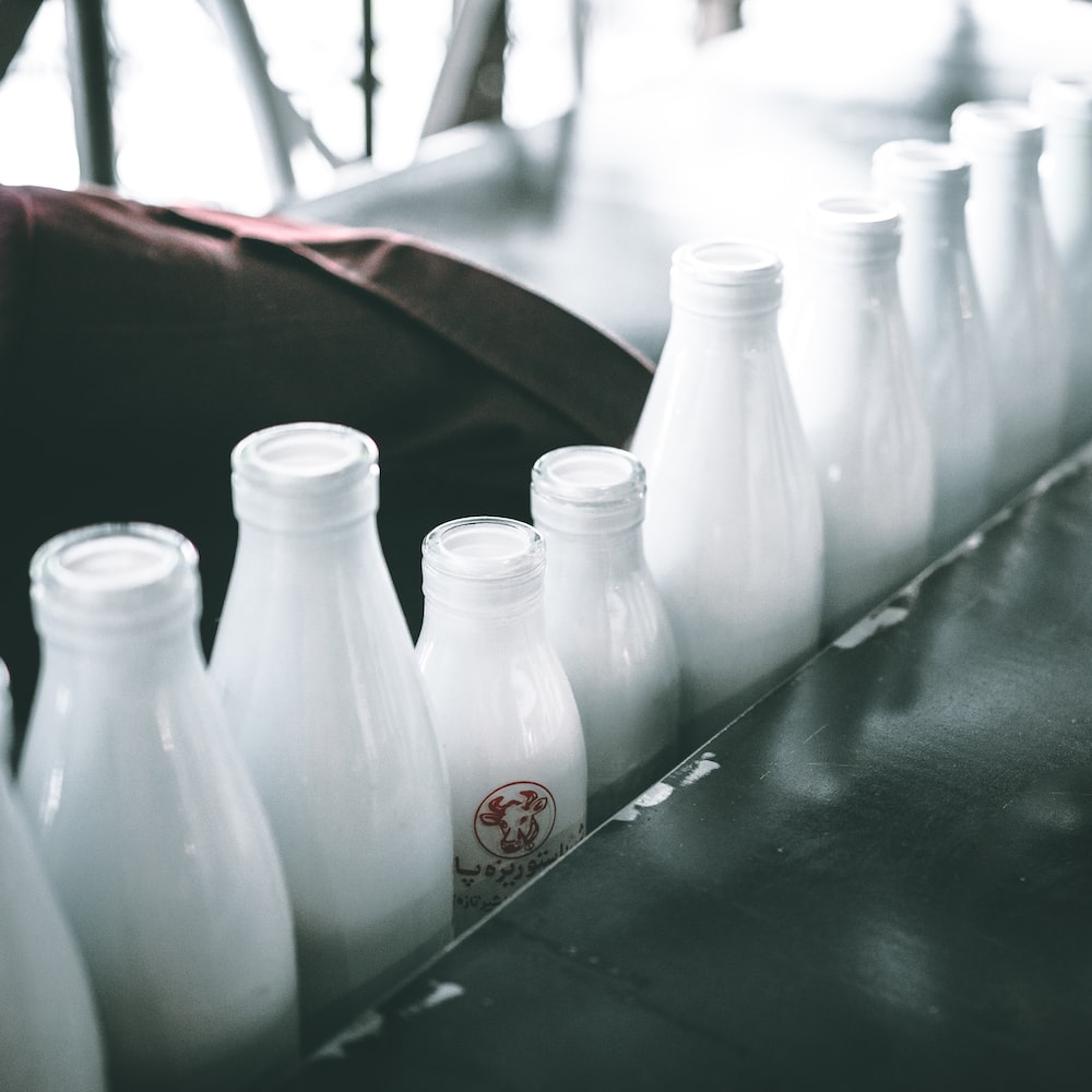 Milk Bottles Picture. Download Free Image