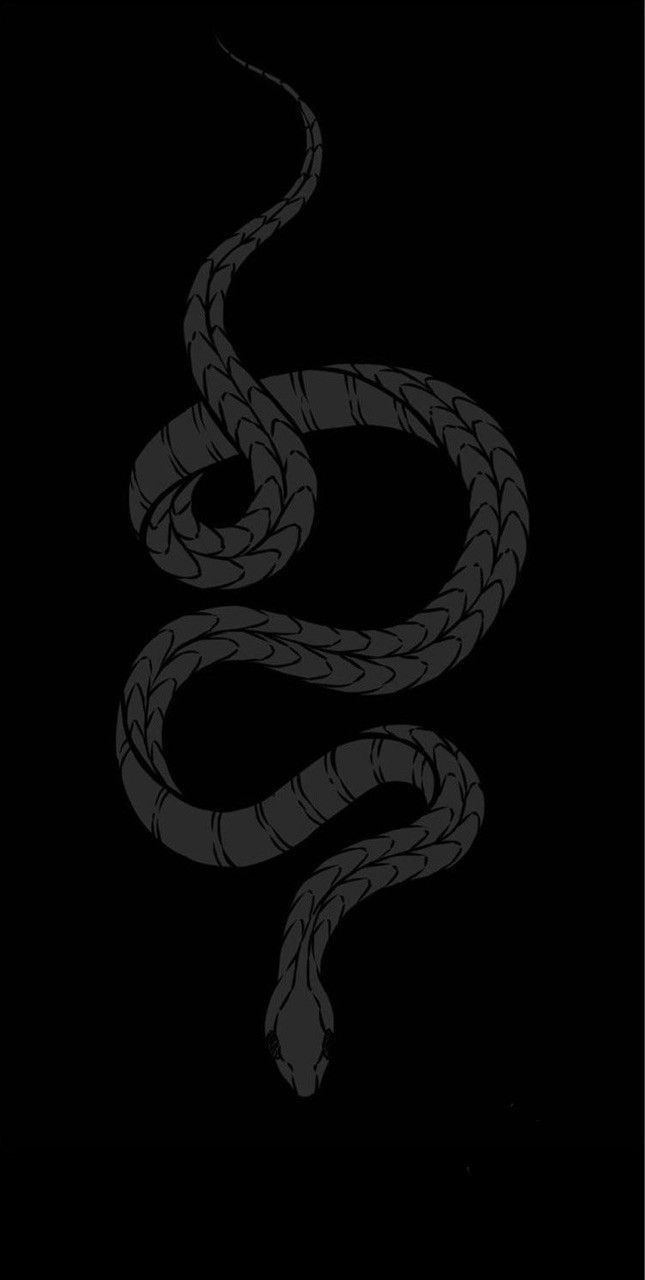 Snake | Reptiles Wallpaper Download | MobCup