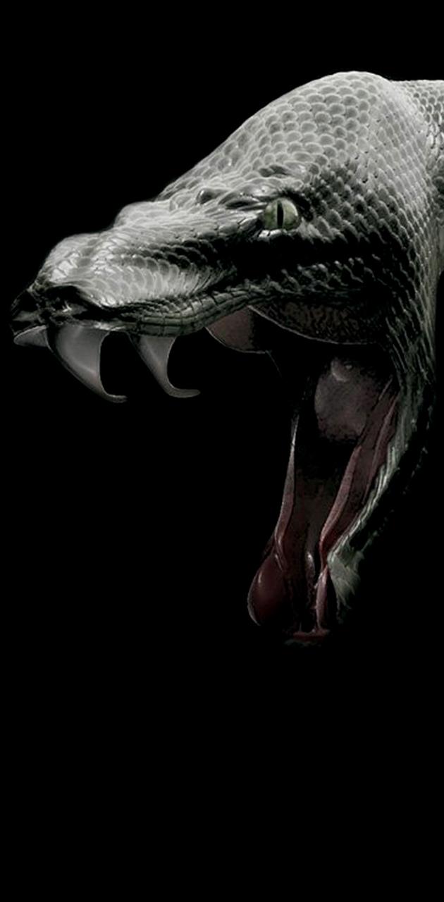 Snake Phone Wallpapers Wallpaper Cave
