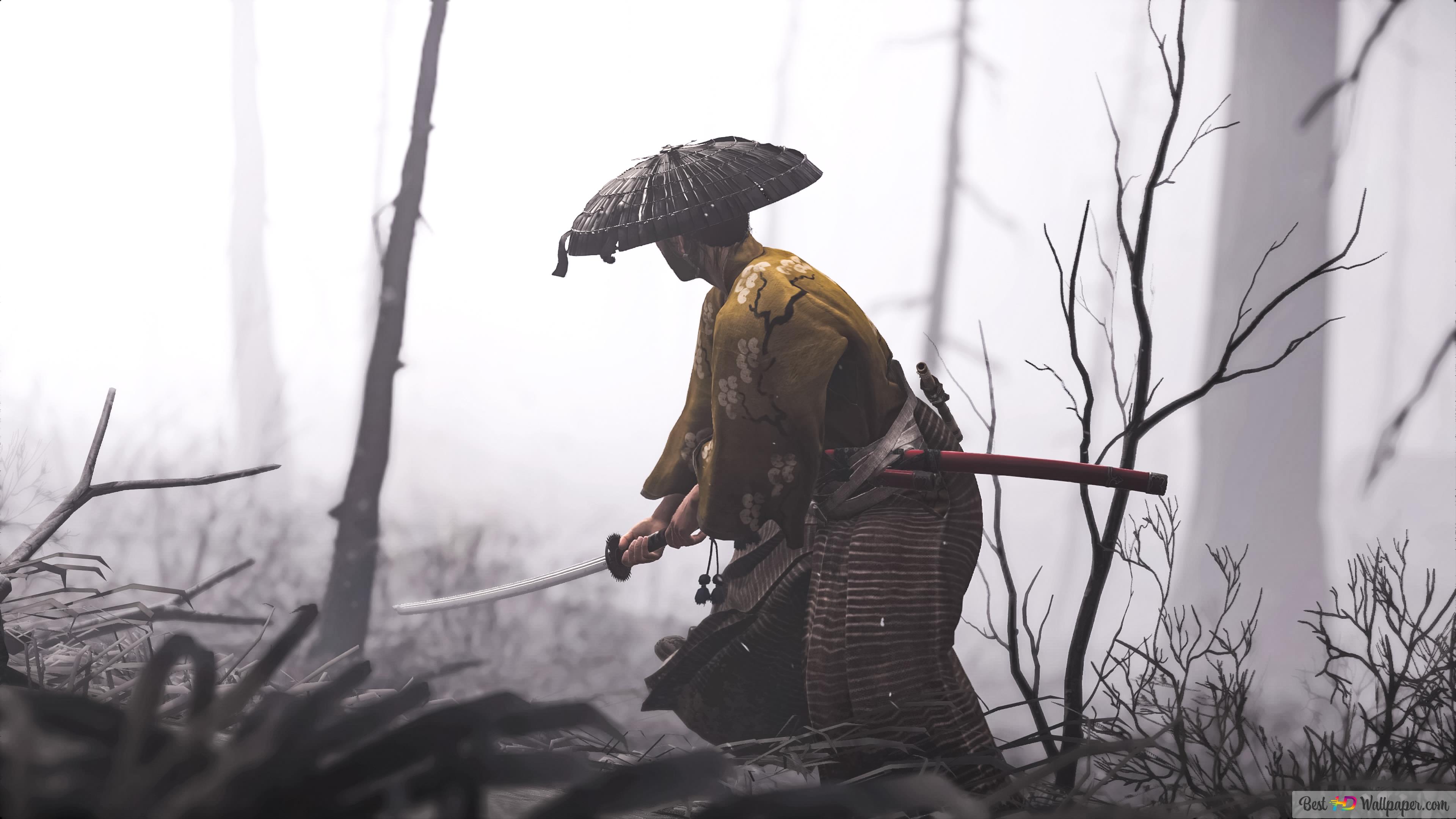 Samurai 8k Wallpapers - Wallpaper Cave