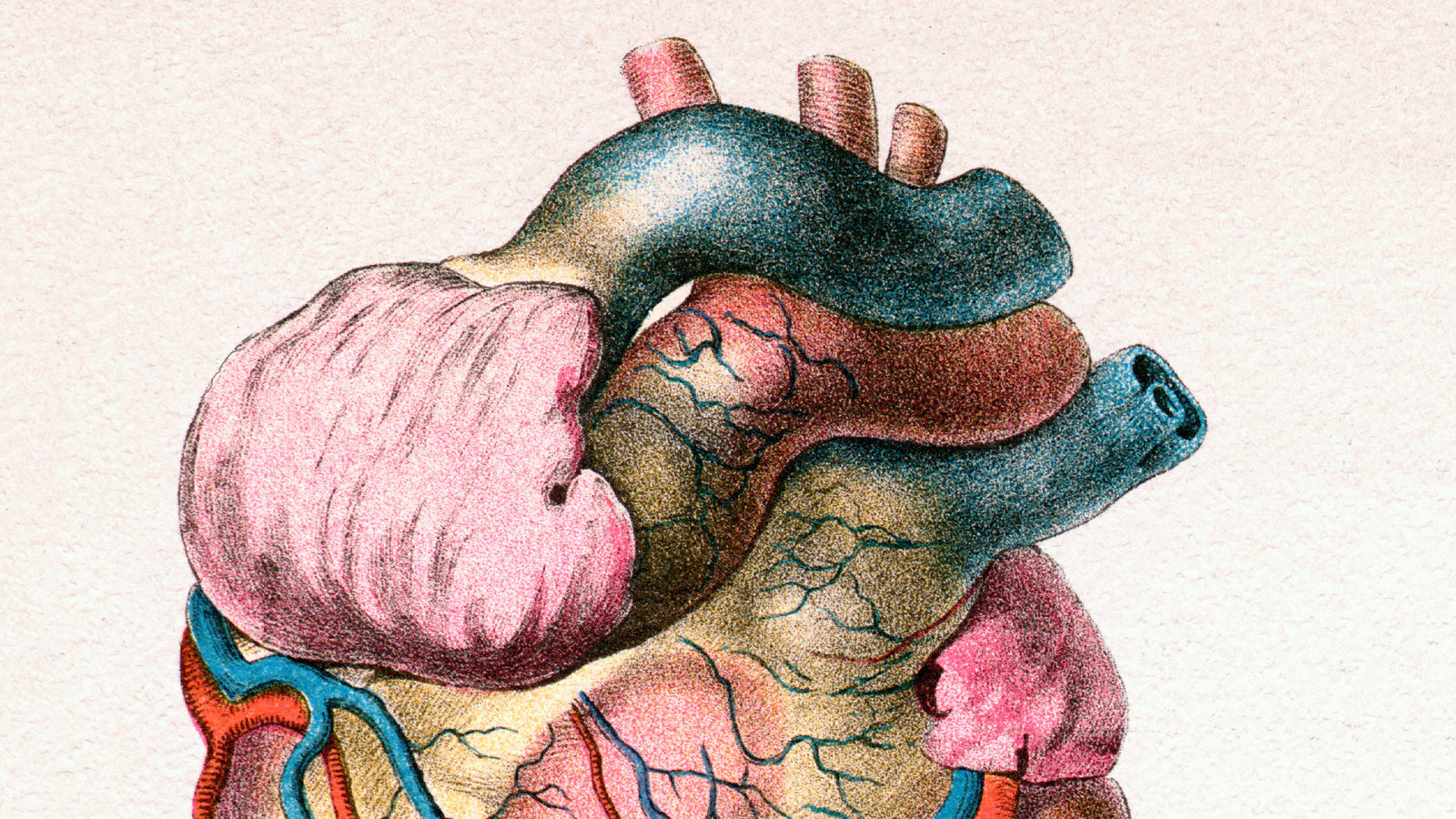 Opinion. Don't Put That in My Heart Until You're Sure It Really Works