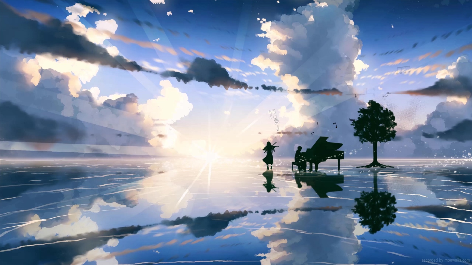 Your Lie In April Live Wallpaper, Animated Wallpaper