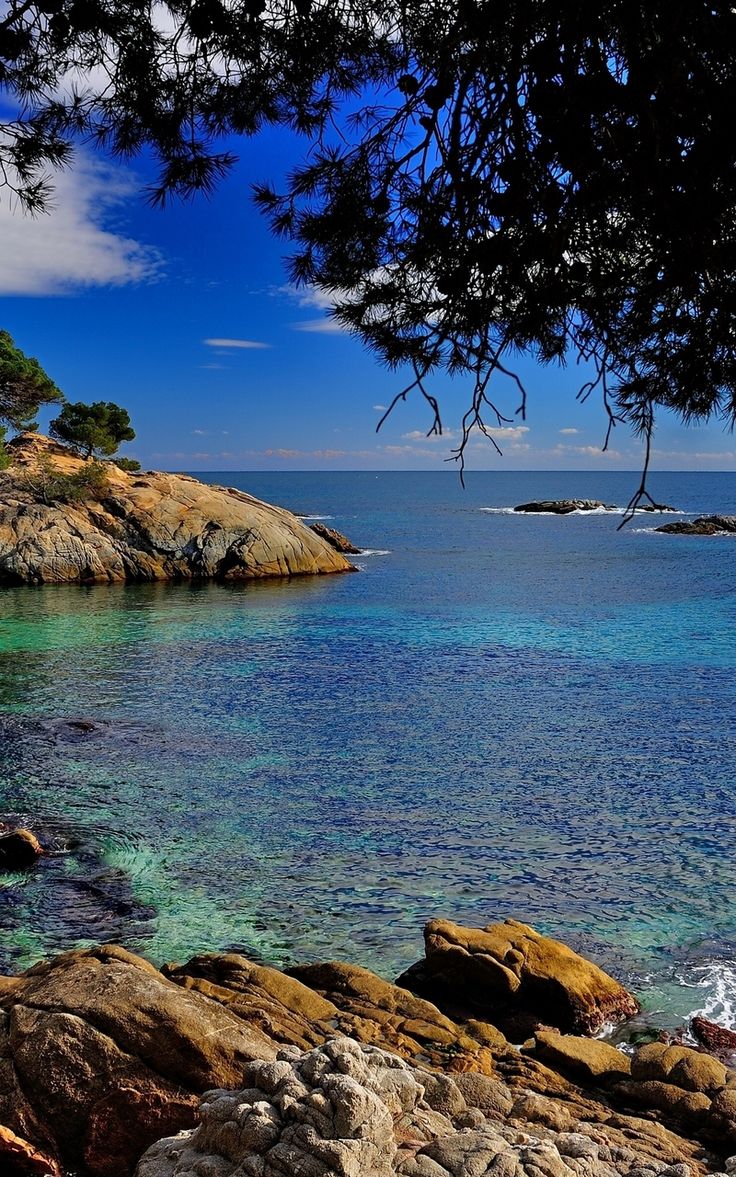Wallpaper mediterranean sea costa brava catalonia coast rocks spain branches