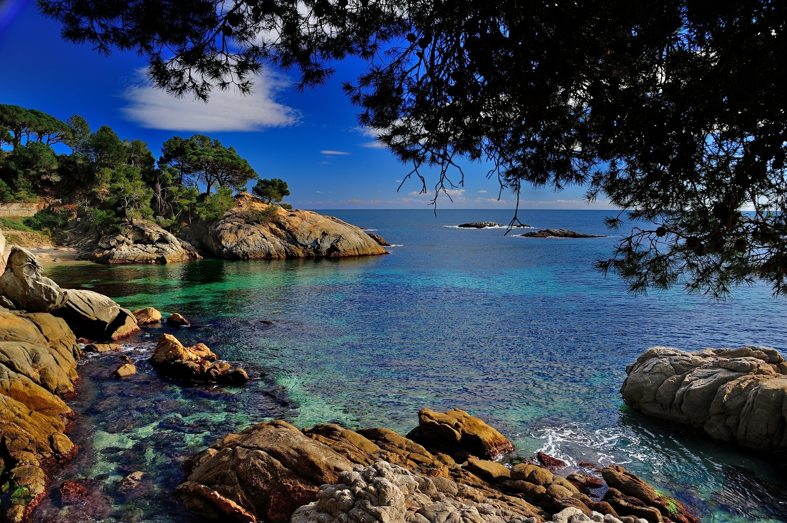 Costa brava, Catalonia, Spain, Mediterranean sea, Rocks, Branches, Coast Gallery HD Wallpaper