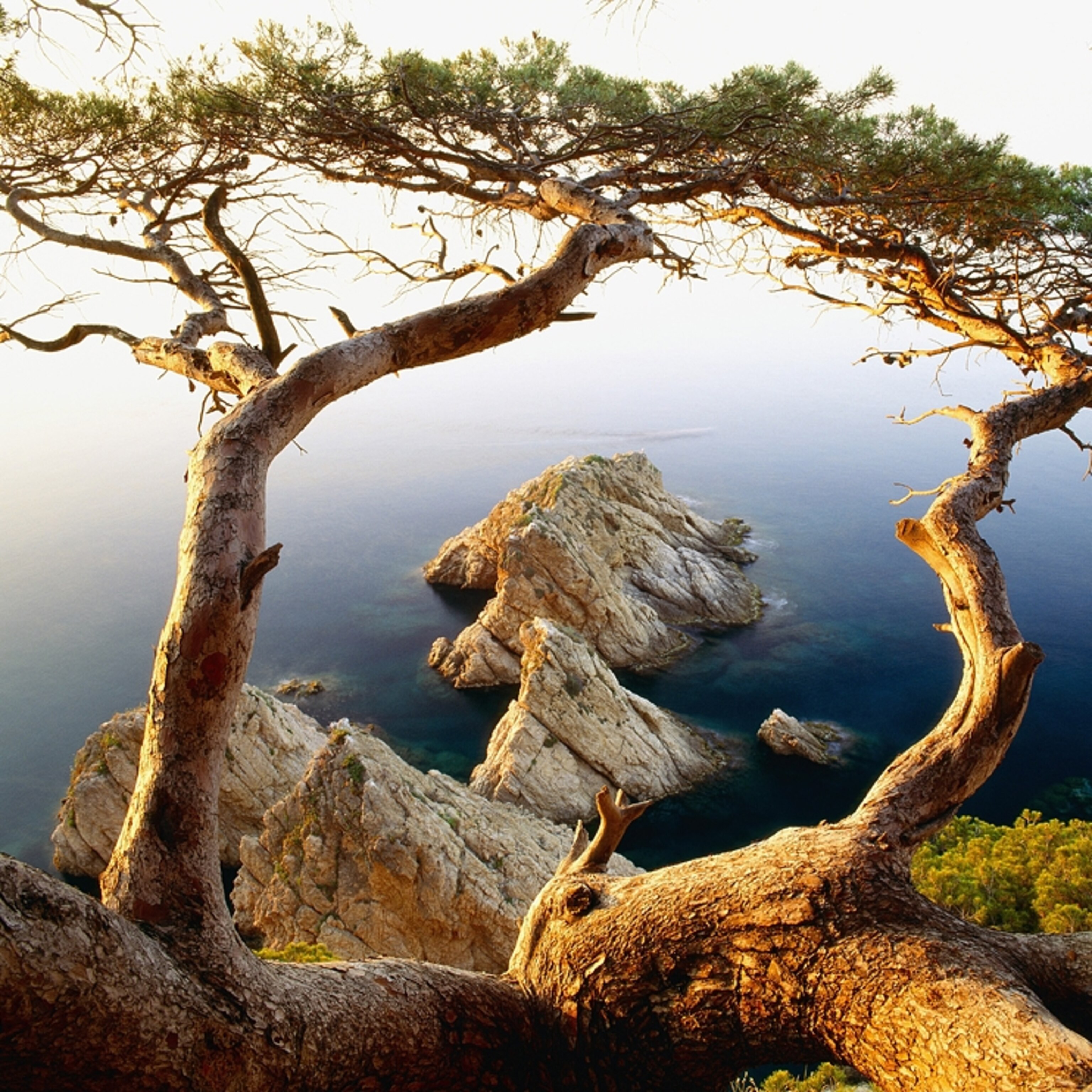 Costa Brava Photo: Best of the World - National Geographic