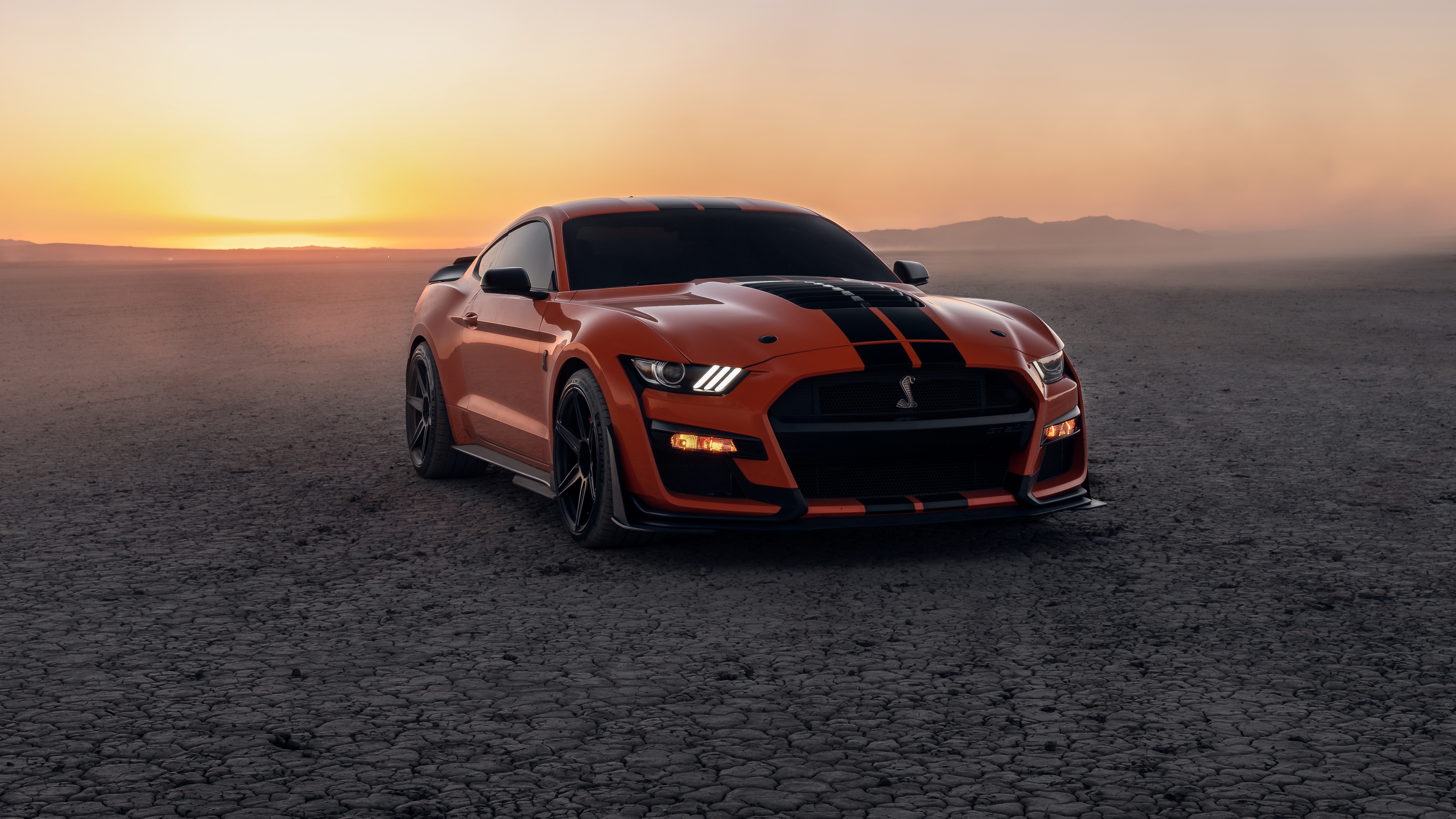 Shelby gt500 фото на рассвете