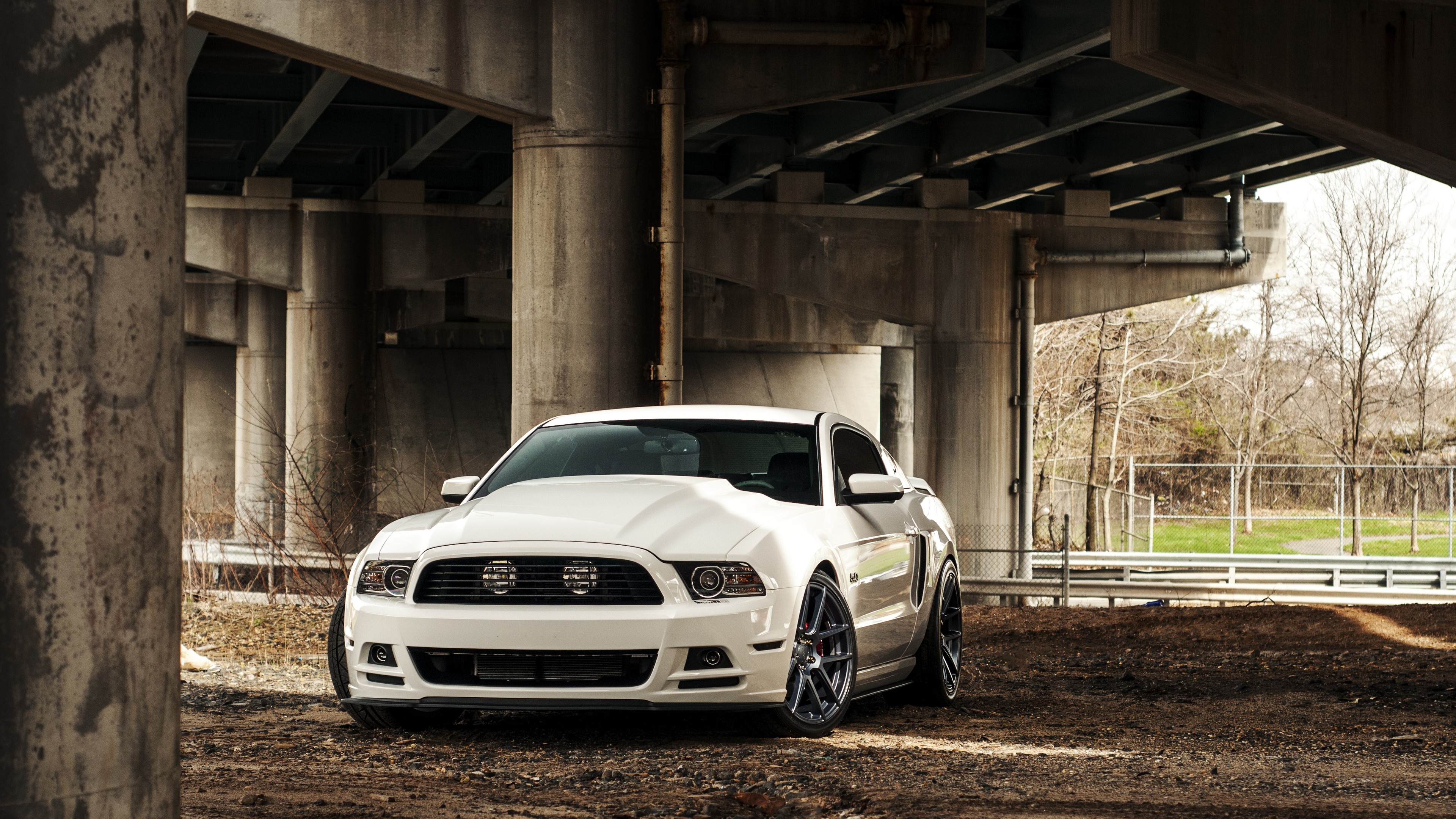Wallpaper 4k Ford Carol Shelby GT500 4k Wallpaper