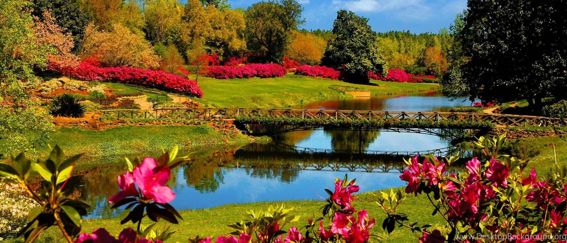 Free Spring Flowers Wallpaper Downloads, Spring Flowers Wallpaper for FREE