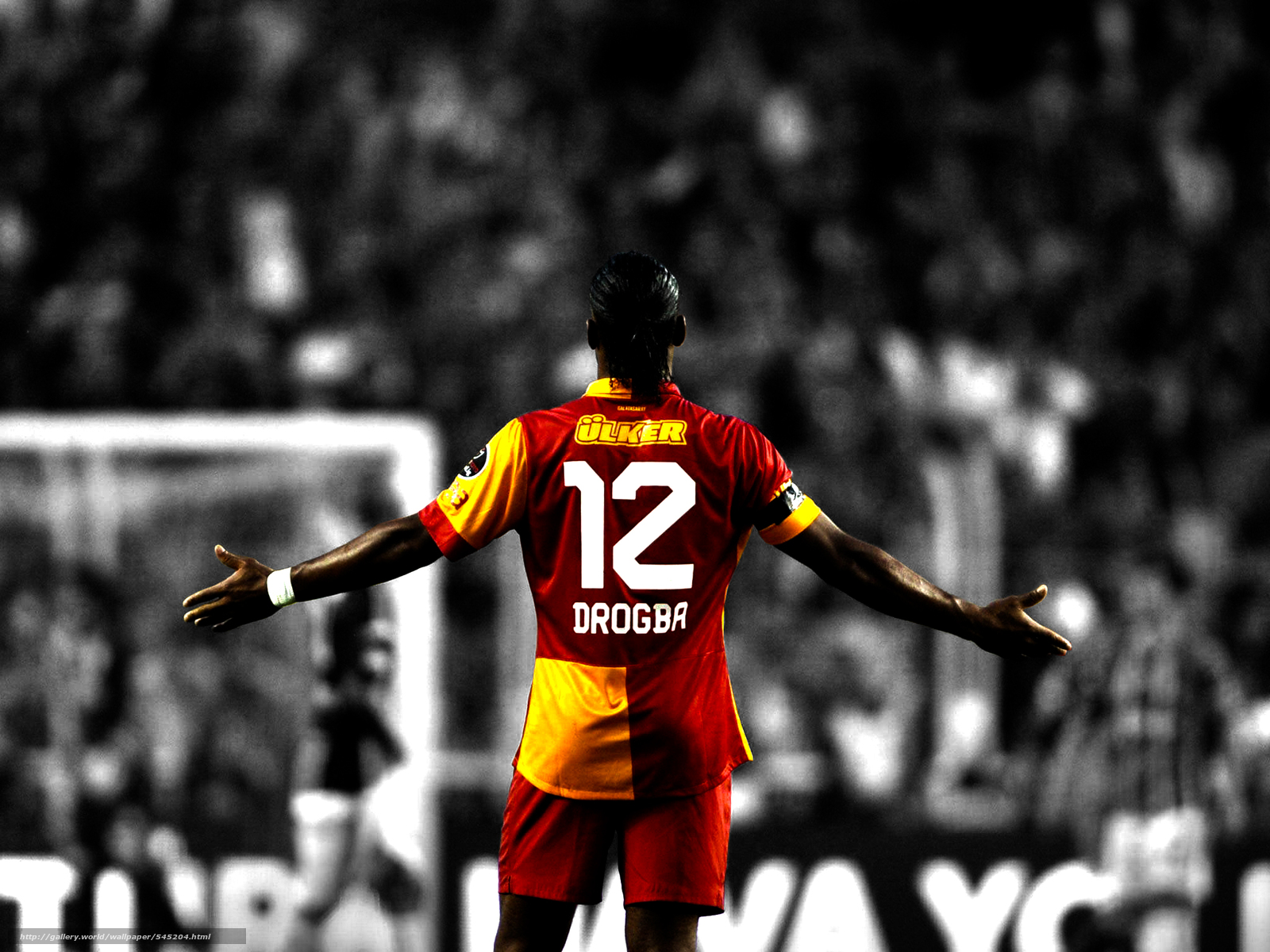 Download wallpaper Didier, Drogba, Galatasaray, Lion free desktop wallpaper in the resolution 2048x1536