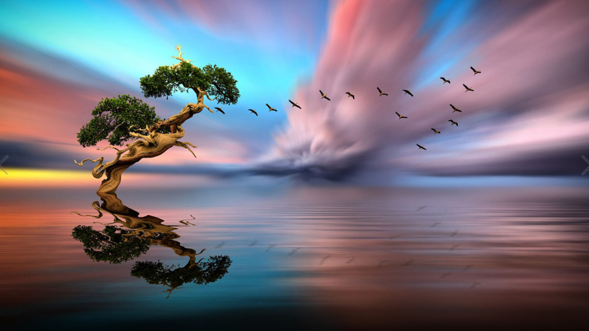 Solitary Tree Lake Birds In Flight Red Cloud Sunset, Reflection In Water Art HD Wallpaper, Wallpaper13.com
