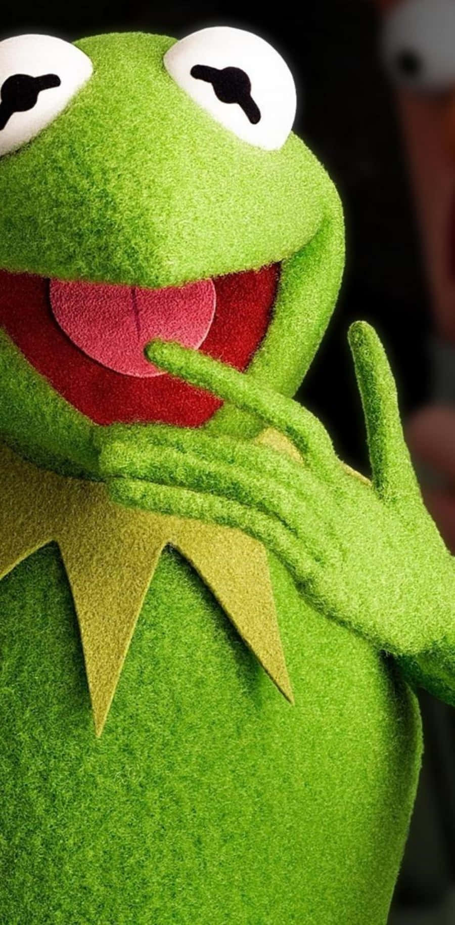 Download Funny Kermit With A Big Smile Picture