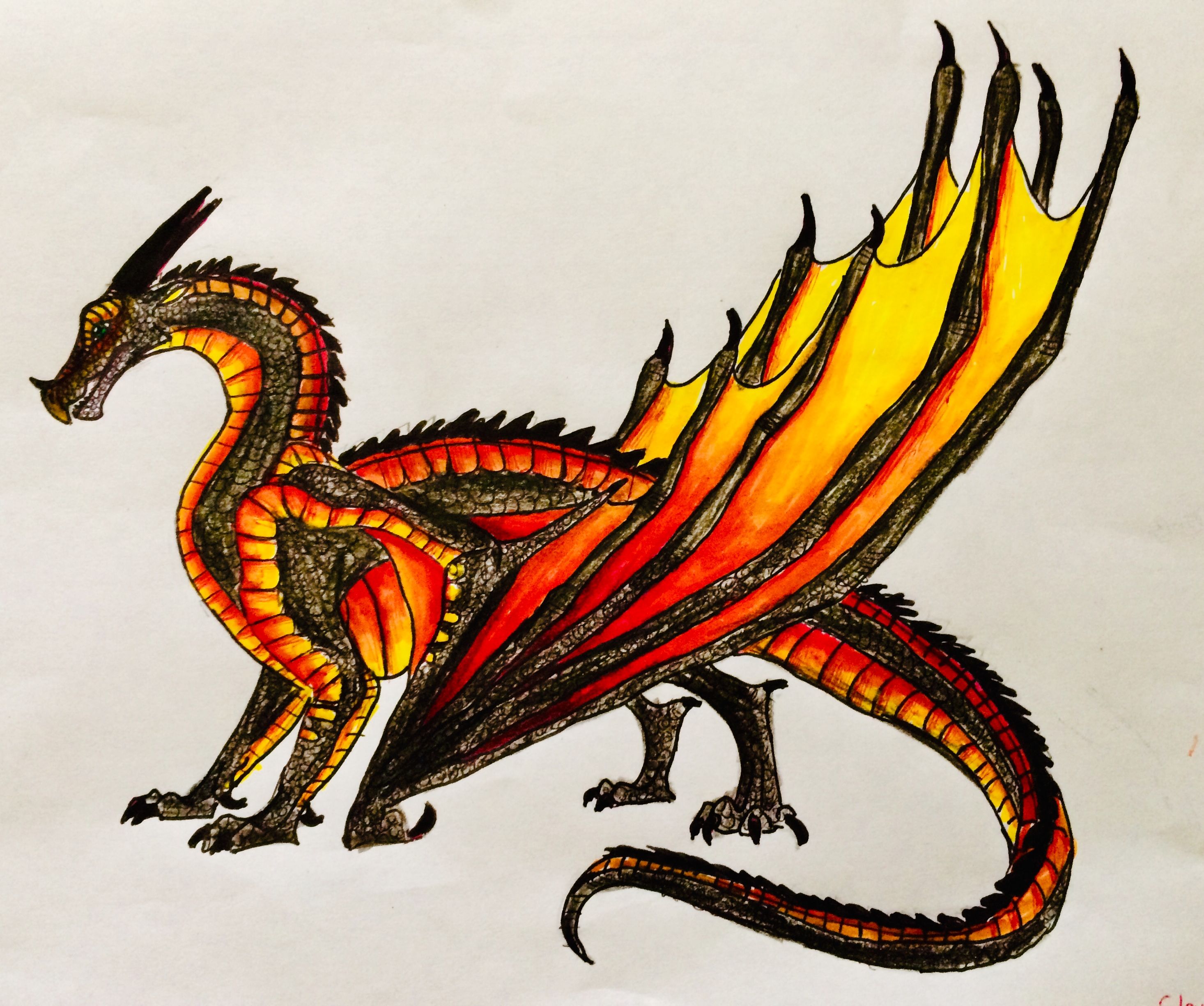 NightWing SkyWing Hybrid. Wings Of Fire, Wings Of Fire Dragons, Fire Art