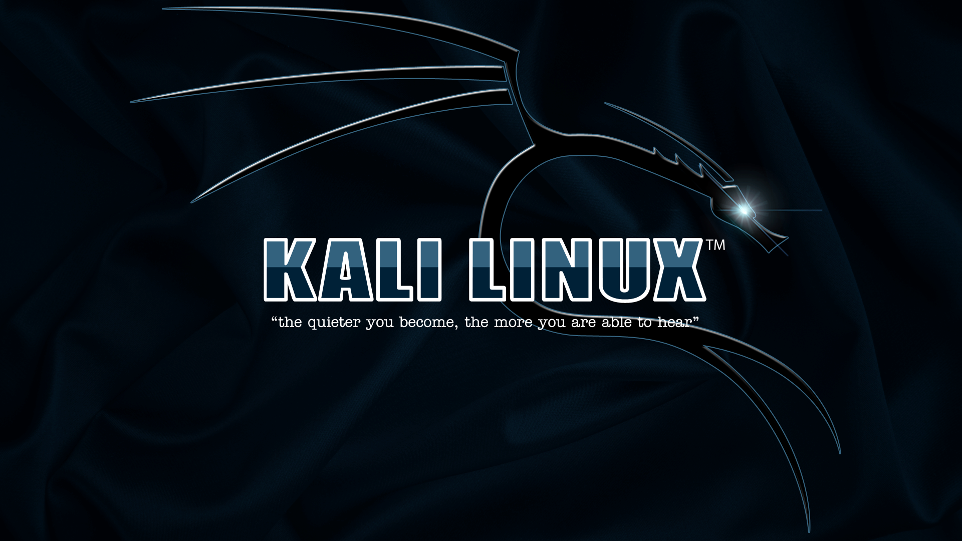 Kali Linux 1080P, 2k, 4k HD wallpaper, background free download