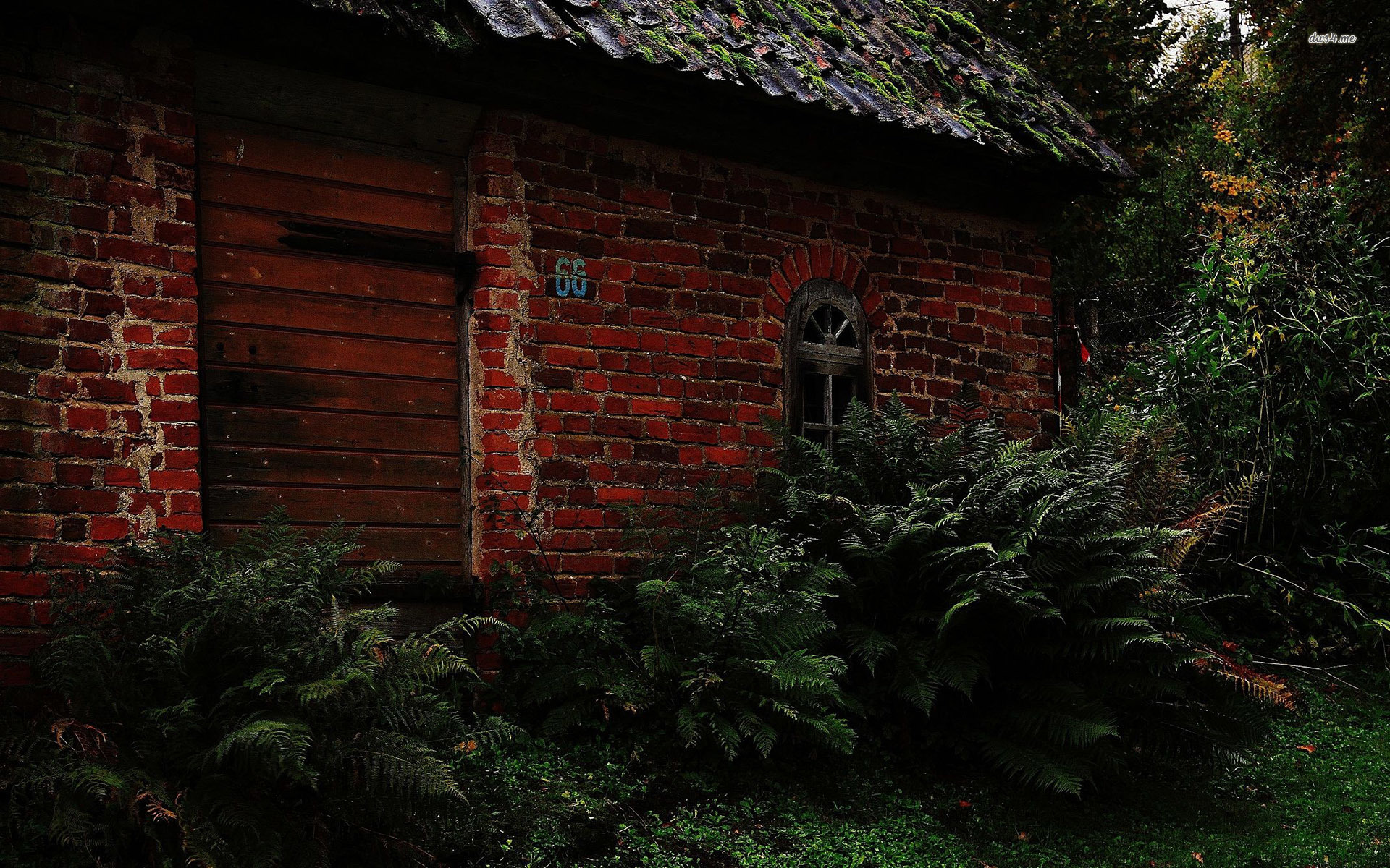 Free download Old brick house in the forest wallpaper World wallpaper 35161 [1920x1200] for your Desktop, Mobile & Tablet. Explore Old World Brick Wallpaper. Old World Map Wallpaper Murals