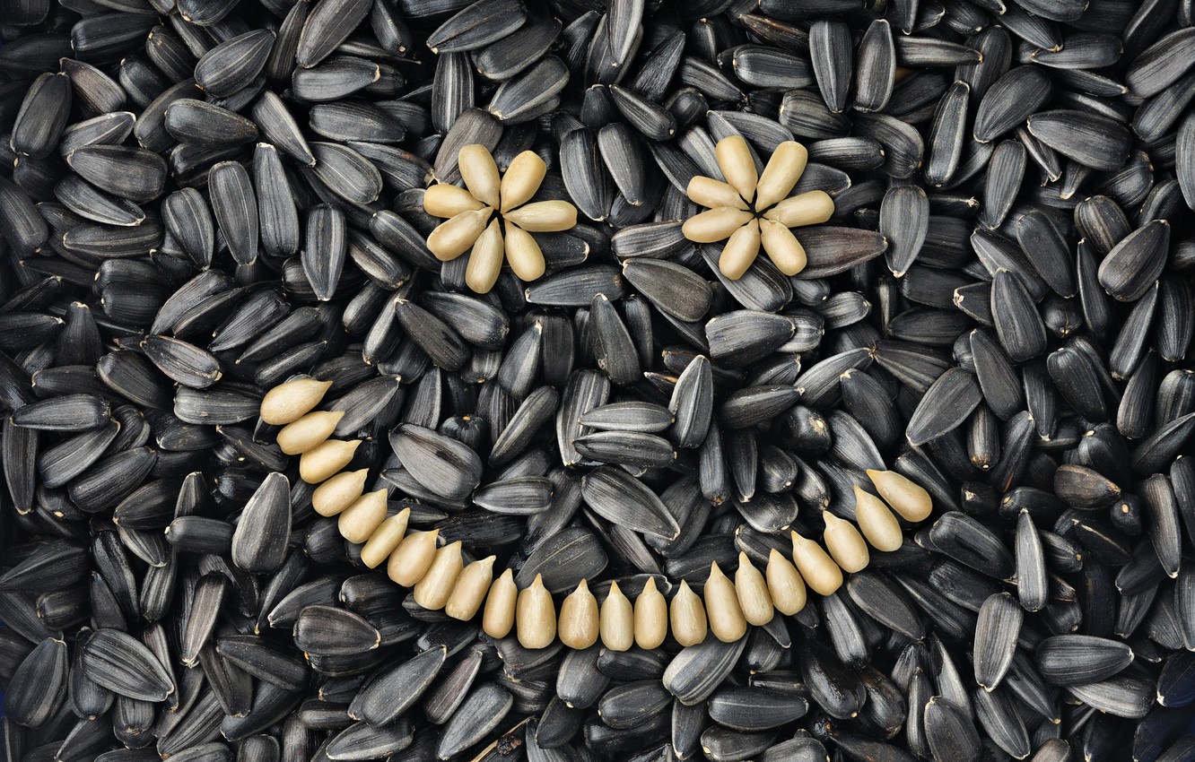 Breathtaking Rare Sunflower Seeds Scene Photography Breathtaking Rare Sunflower Seeds Scene Photography