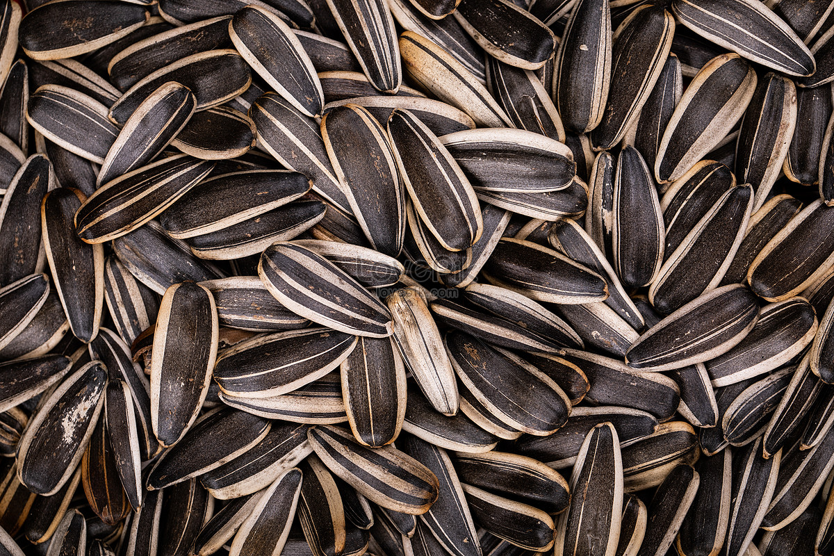 Vibrant Rare Sunflower Seeds Photo Digital Art Vibrant Rare Sunflower Seeds Photo Digital Art