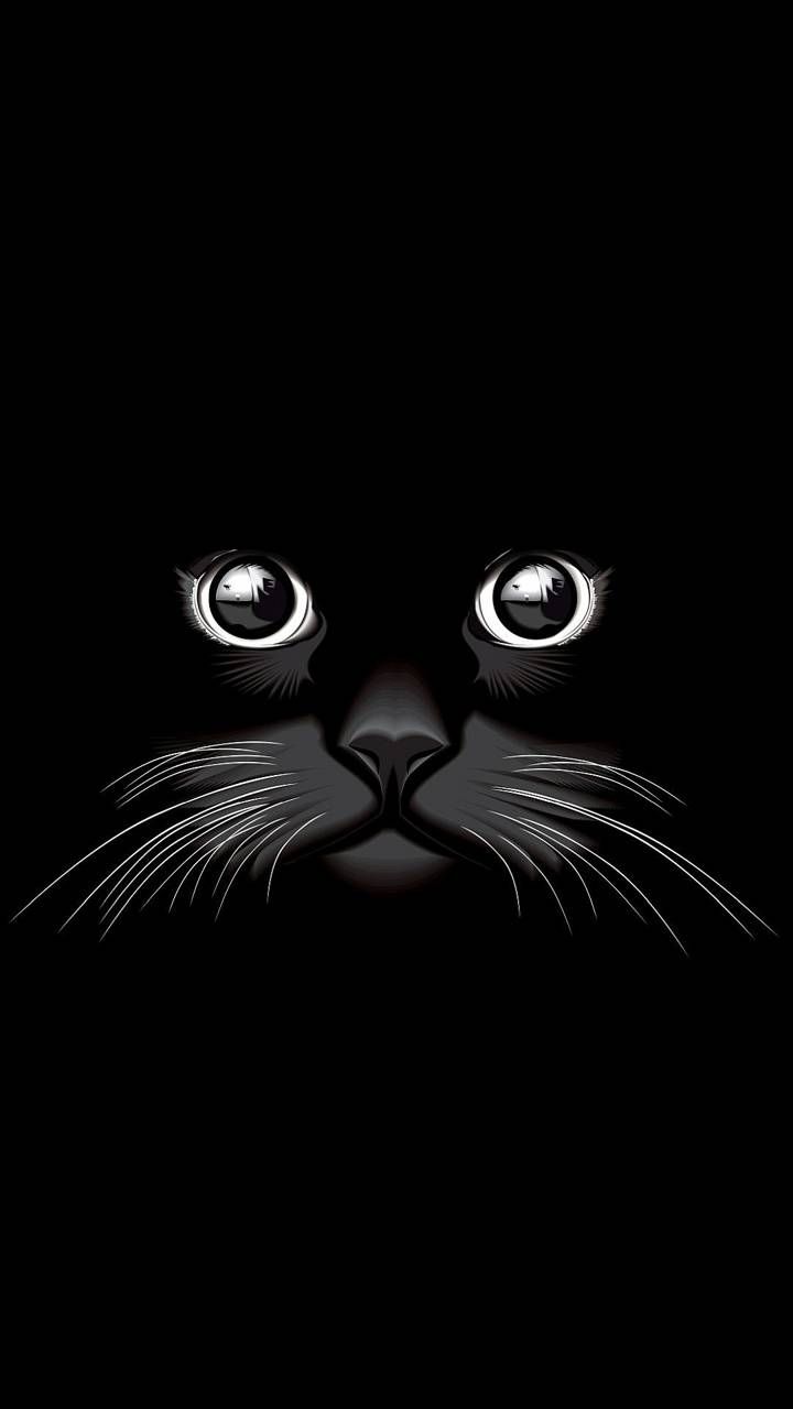 Cat Eyes Wallpaper