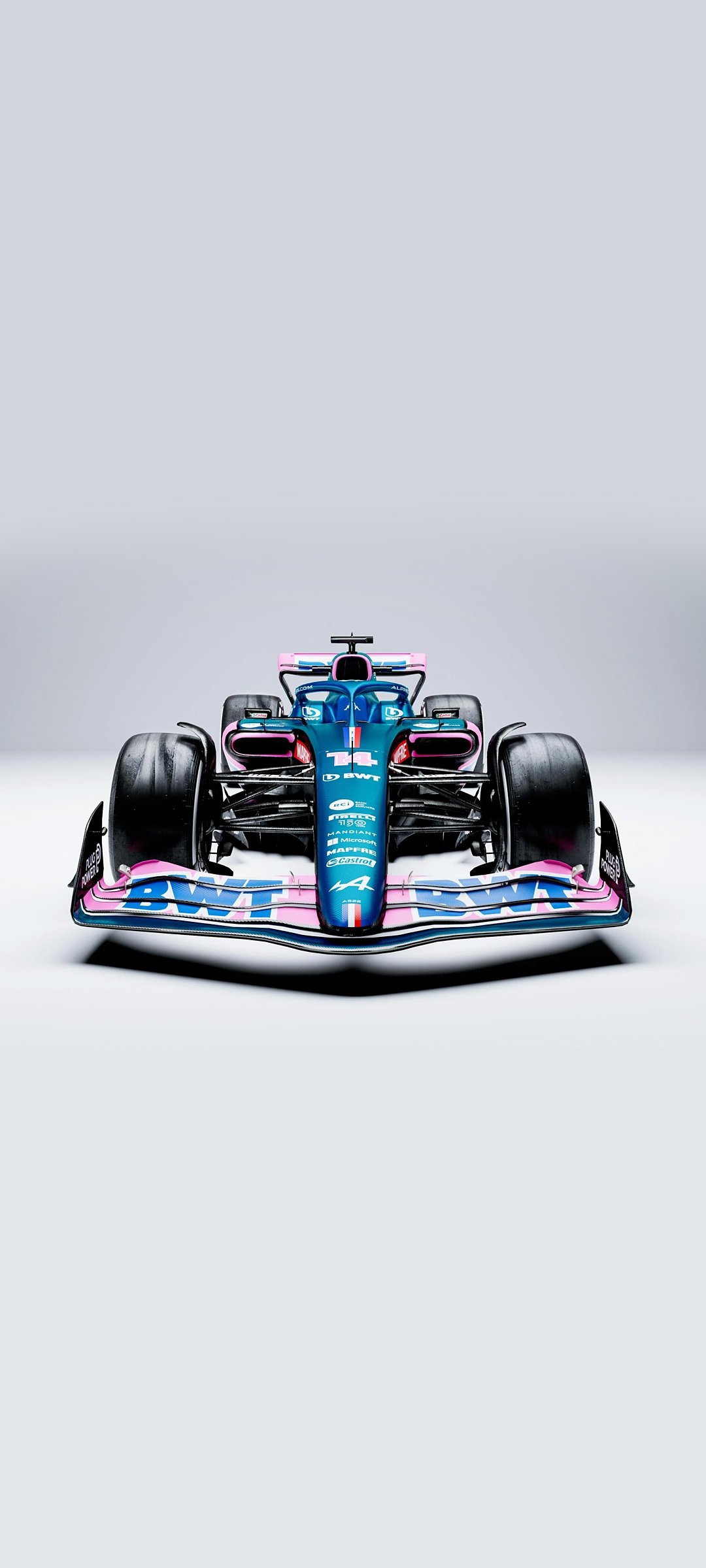 Alpine F1 Team 2022 Formula One World Championship