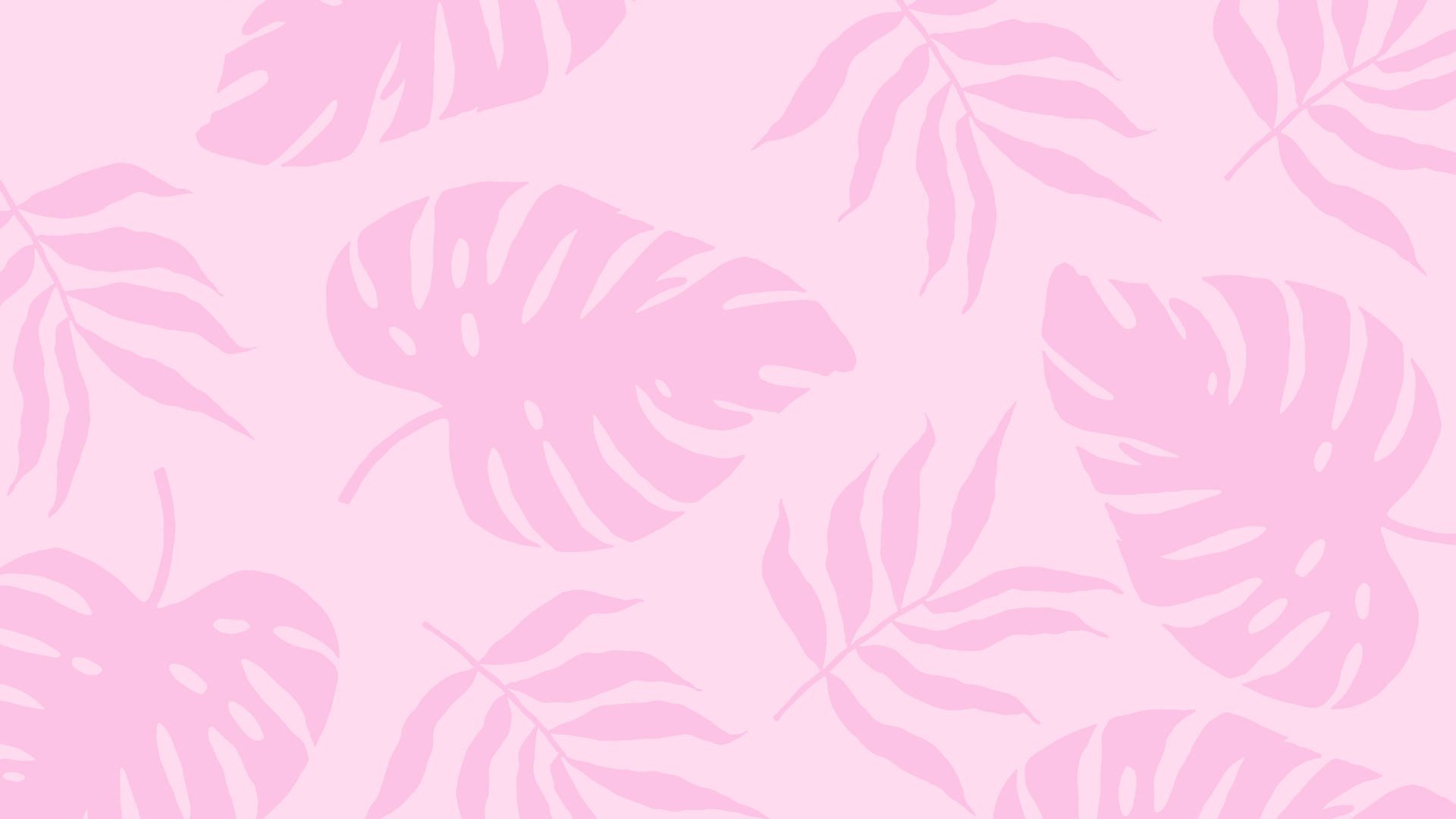 Download 2560x1440 Summer Plants Pink Aesthetic Wallpaper
