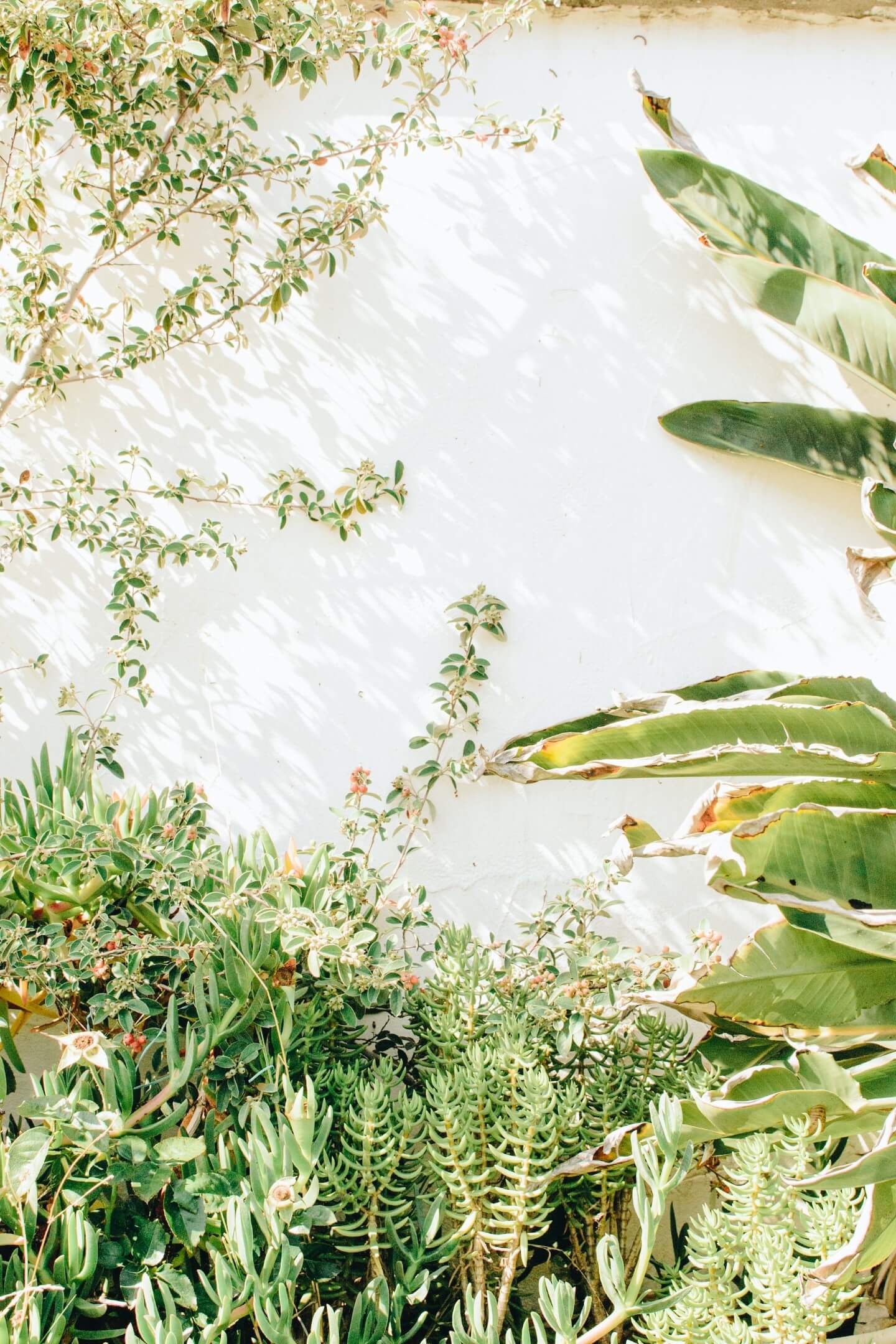 Gorgeous Spring Wallpaper Downloads For Your iPhone