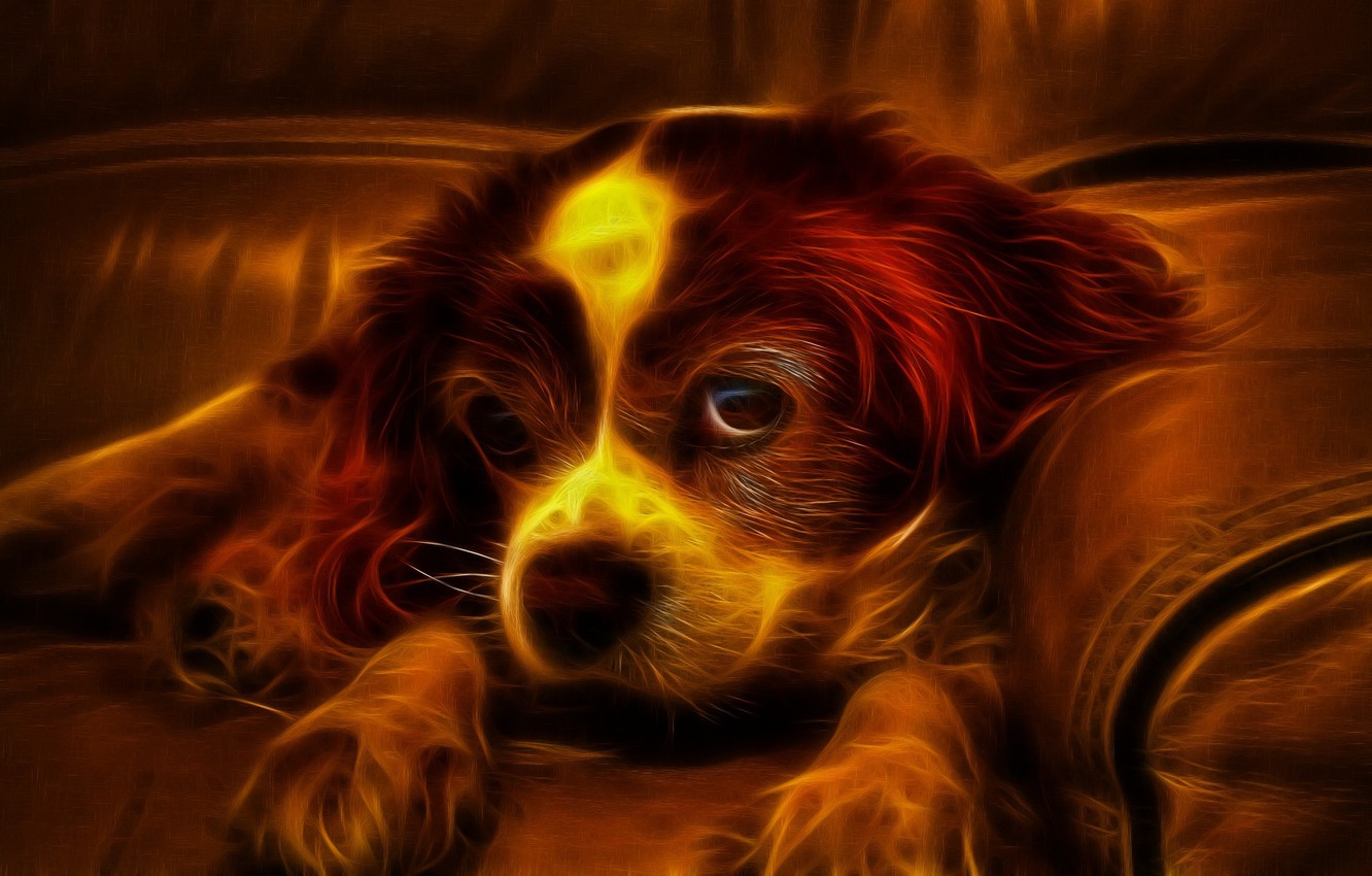 Wallpaper look, sofa, fire, dog, puppy image for desktop, section собаки