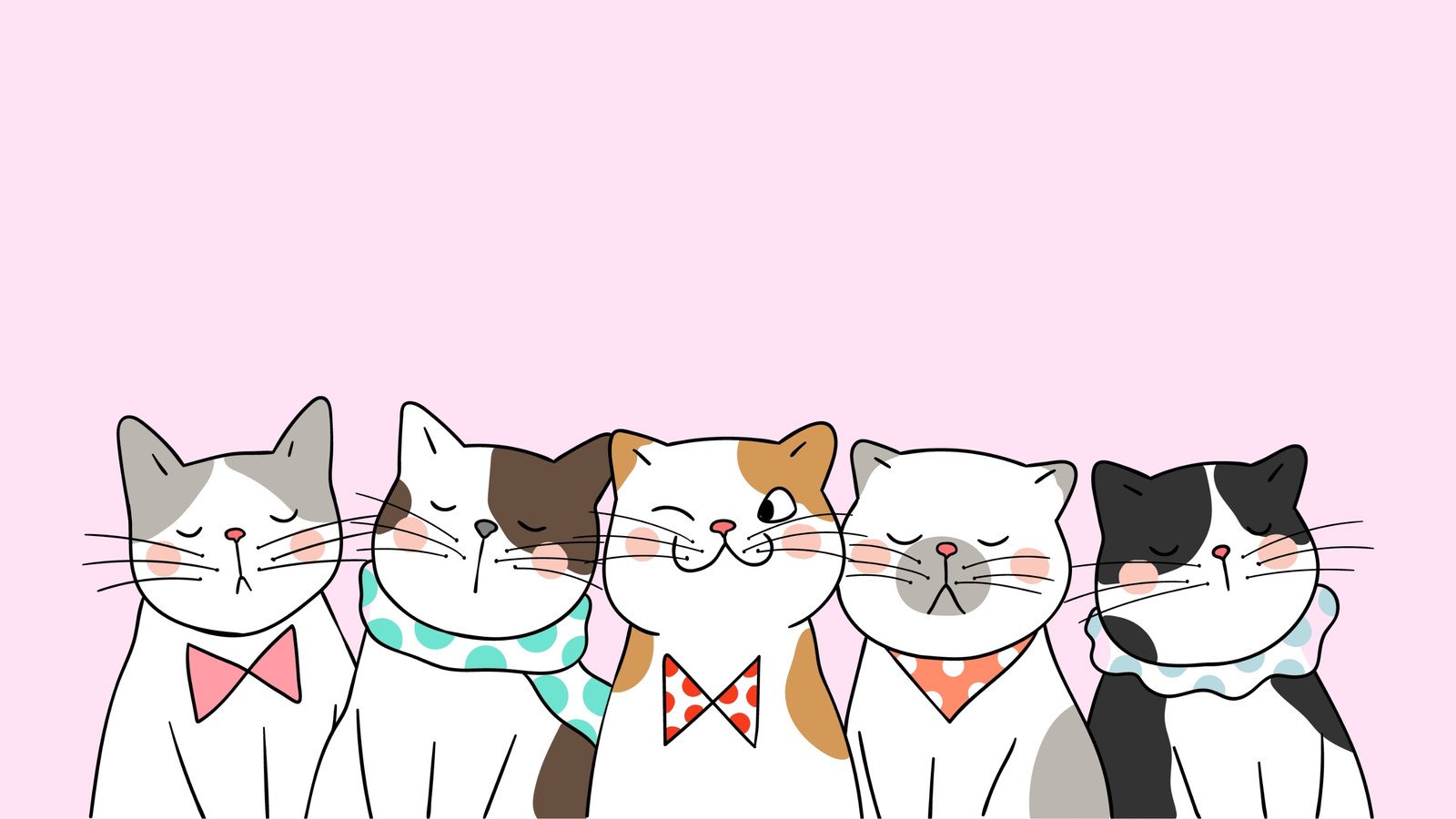Баннер с котиками