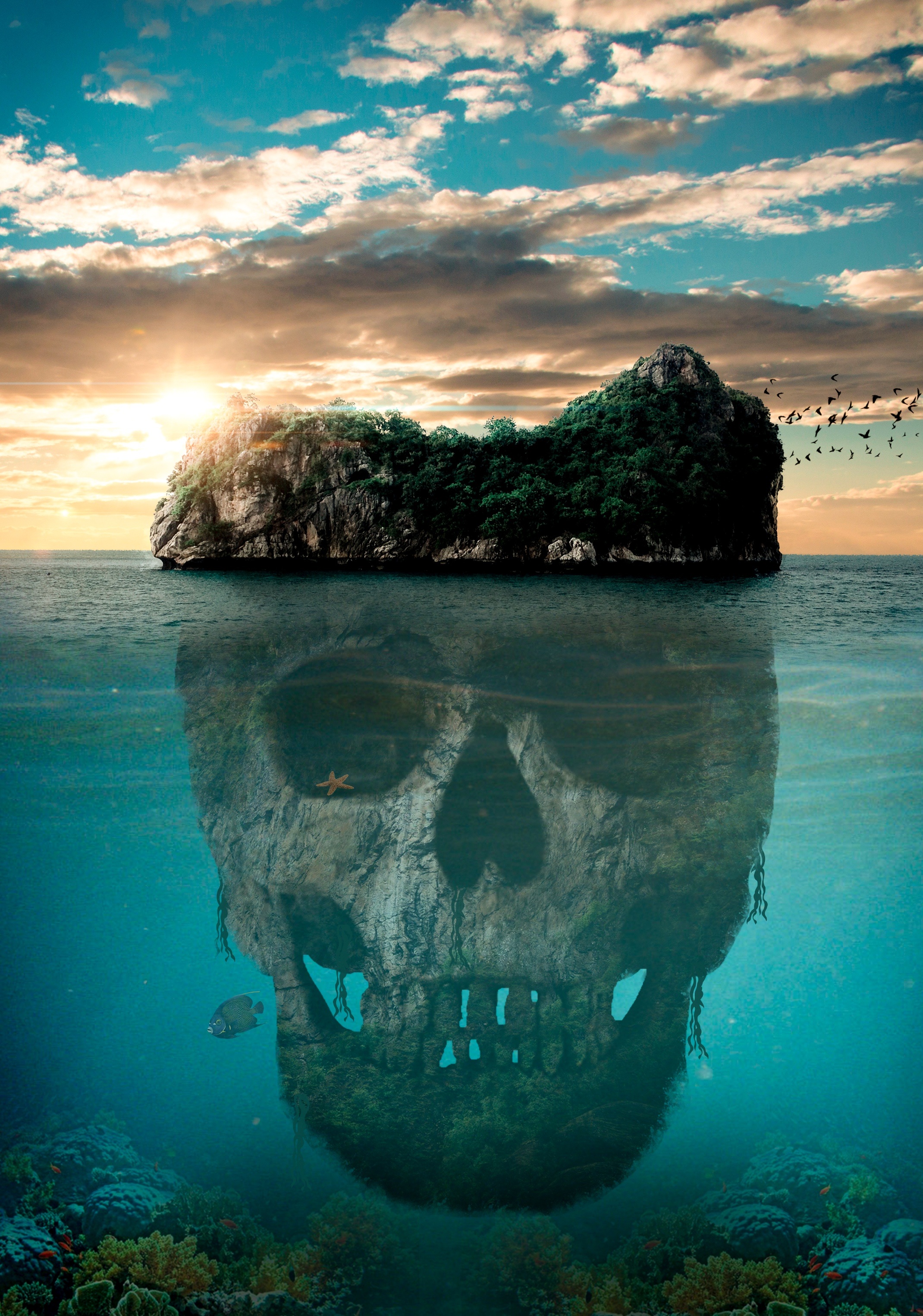 Download Skull wallpaper for mobile phone, free Skull HD picture