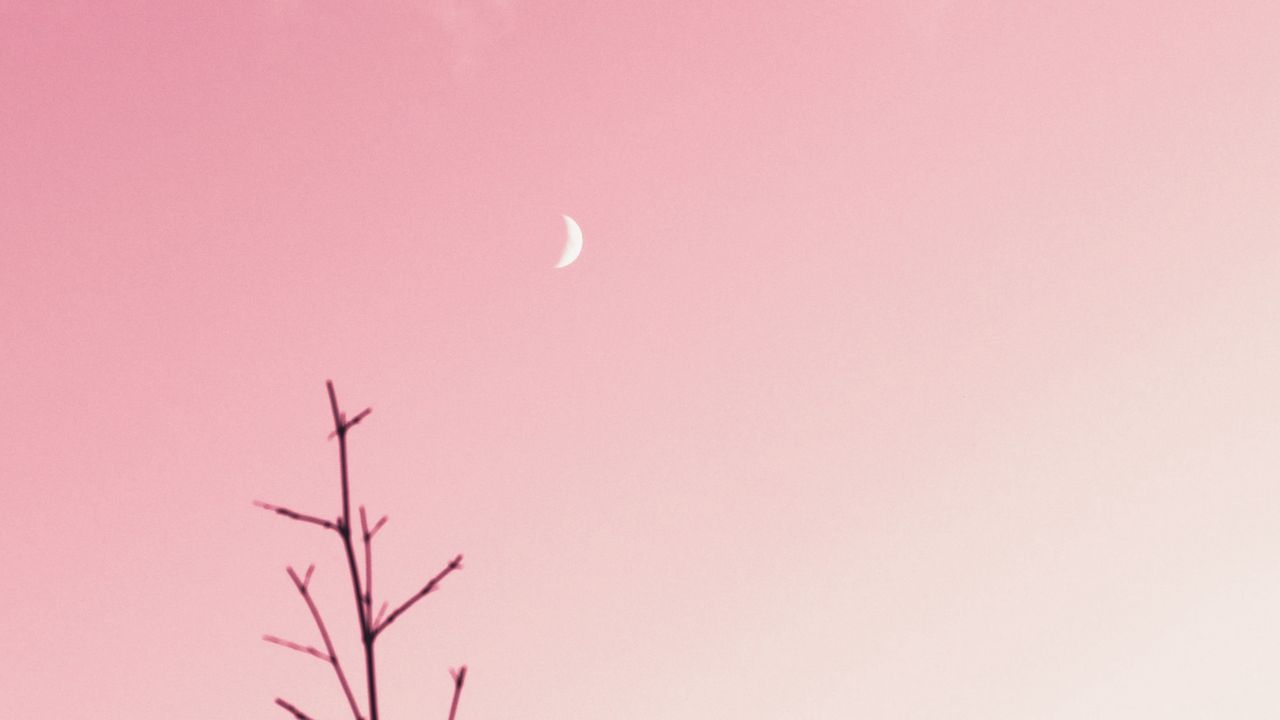 Wallpaper branch, moon, clouds, minimalism, pink hd, picture, image